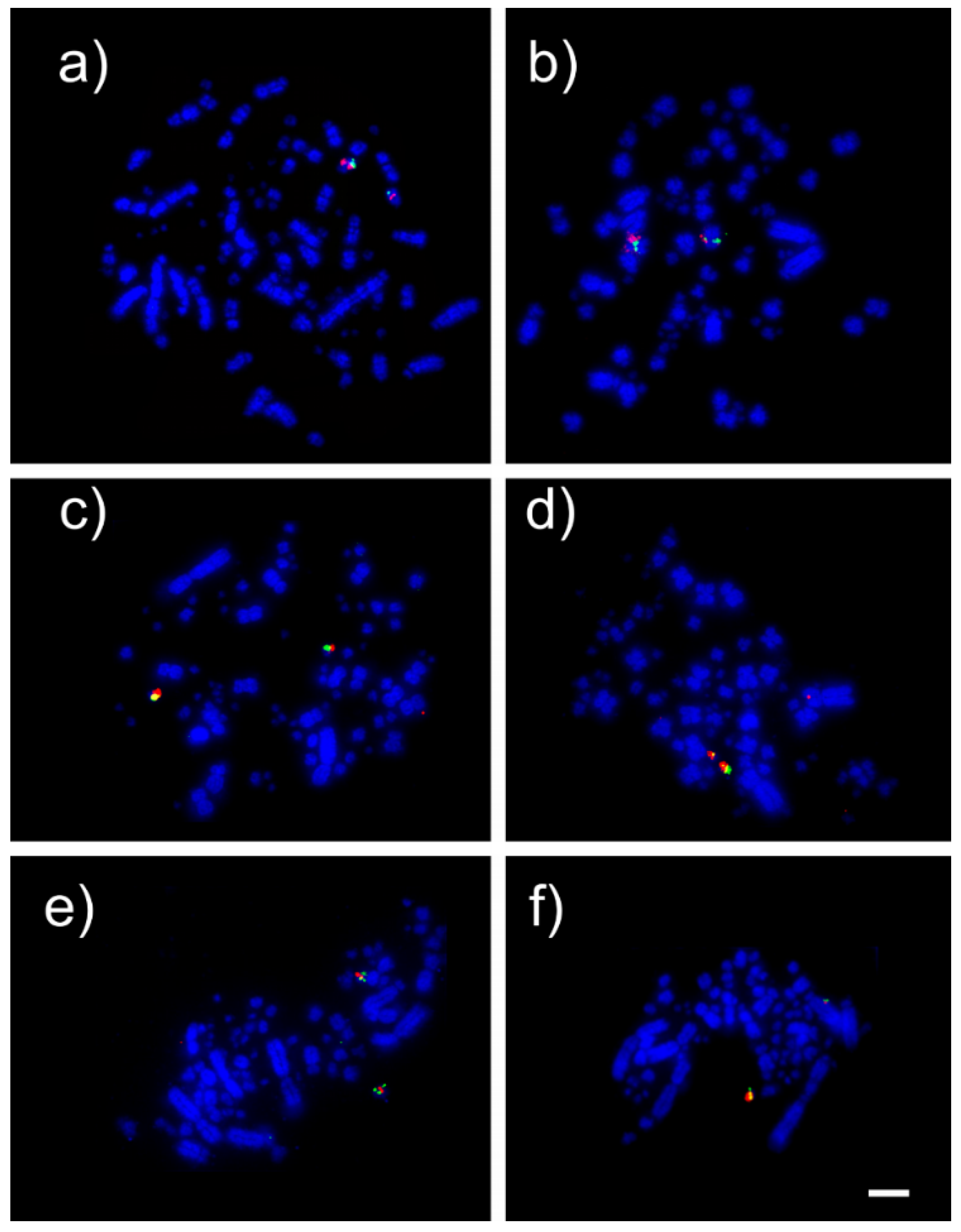 Animals 12 03052 g002 Animals 12 03052 g002