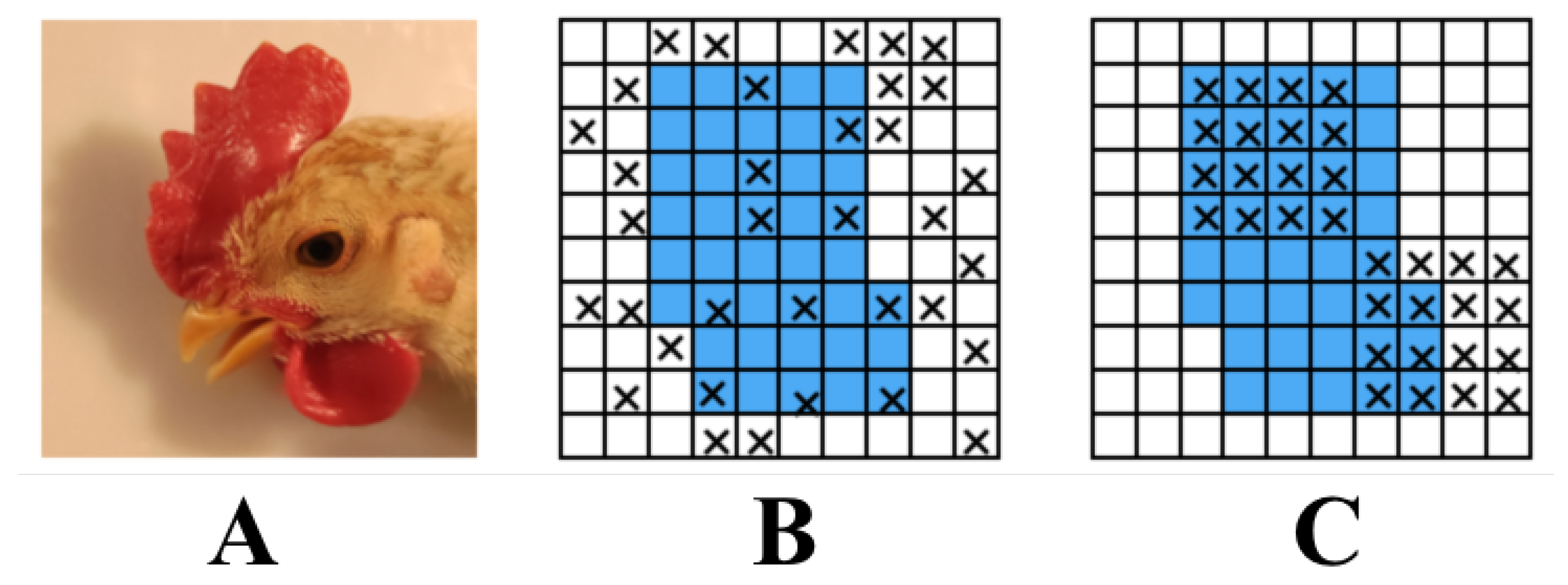 Animals 12 03055 g003 Animals 12 03055 g003