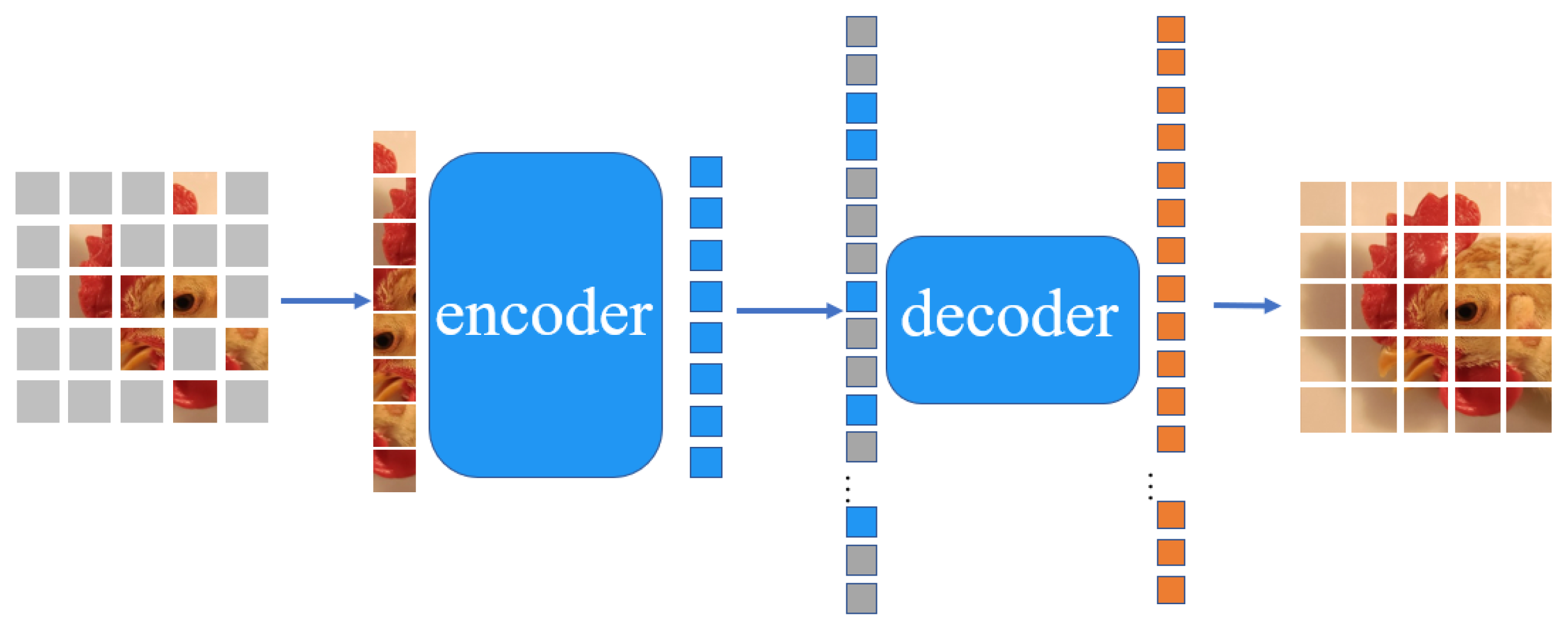 Animals 12 03055 g004 Animals 12 03055 g004