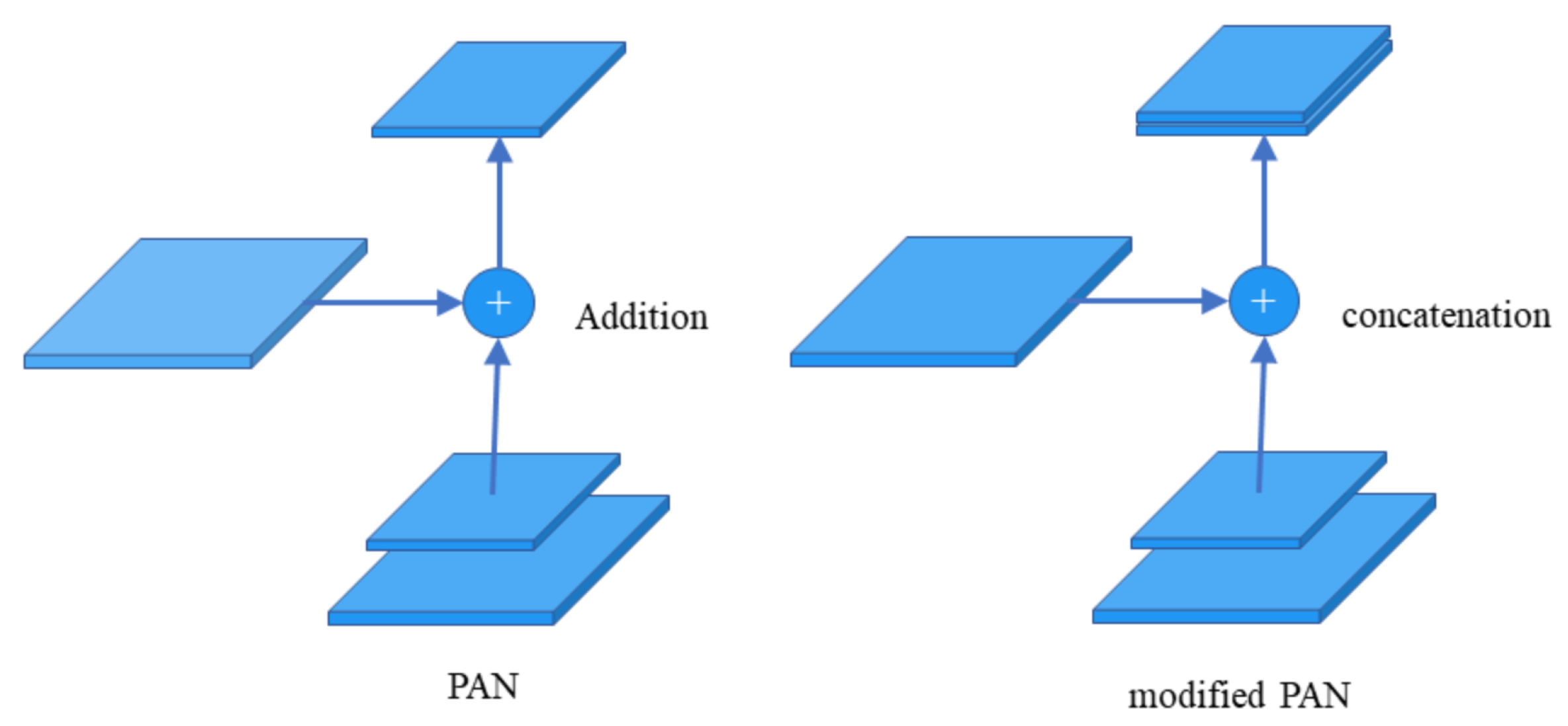 Animals 12 03055 g009 Animals 12 03055 g009