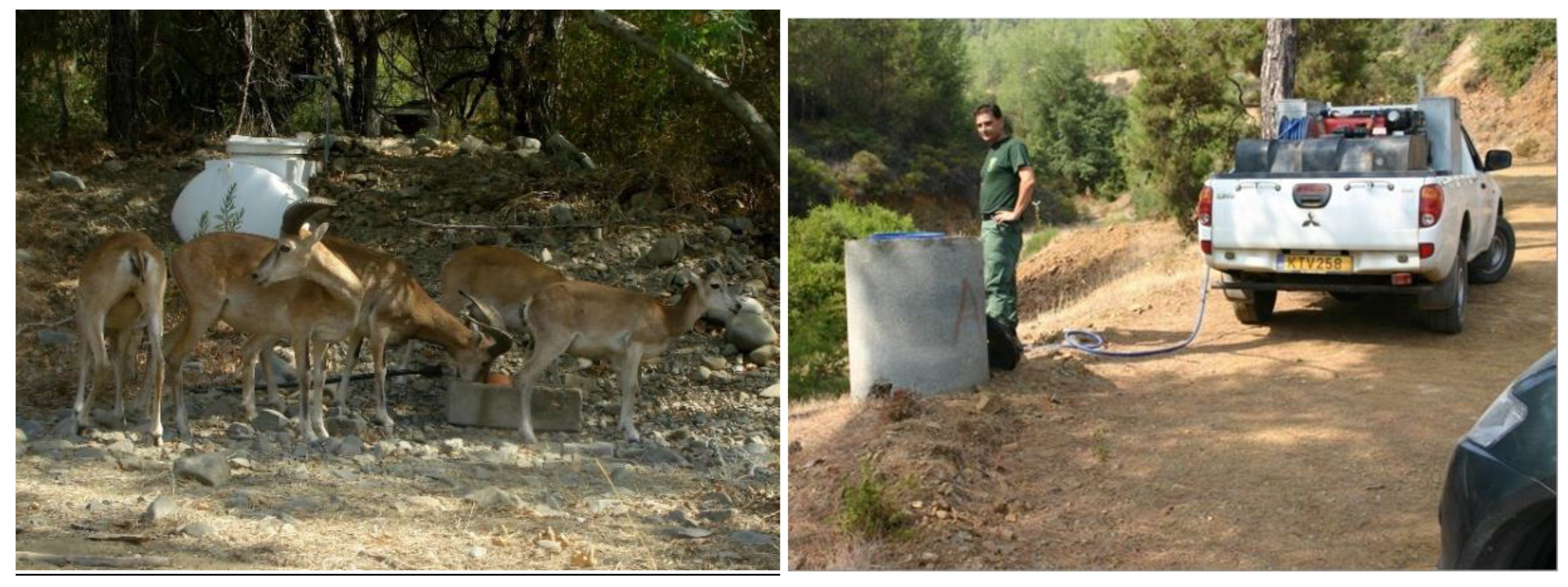 Animals 12 03060 g0a1a