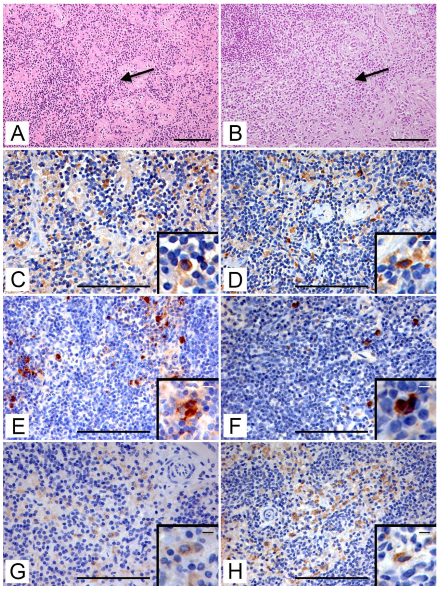 Animals 12 03064 g003