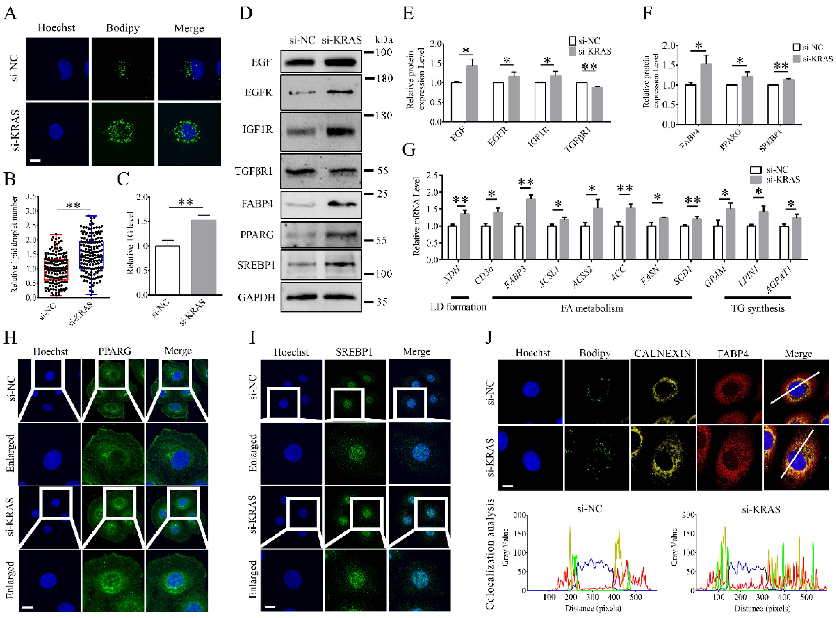 Animals 12 03070 g003