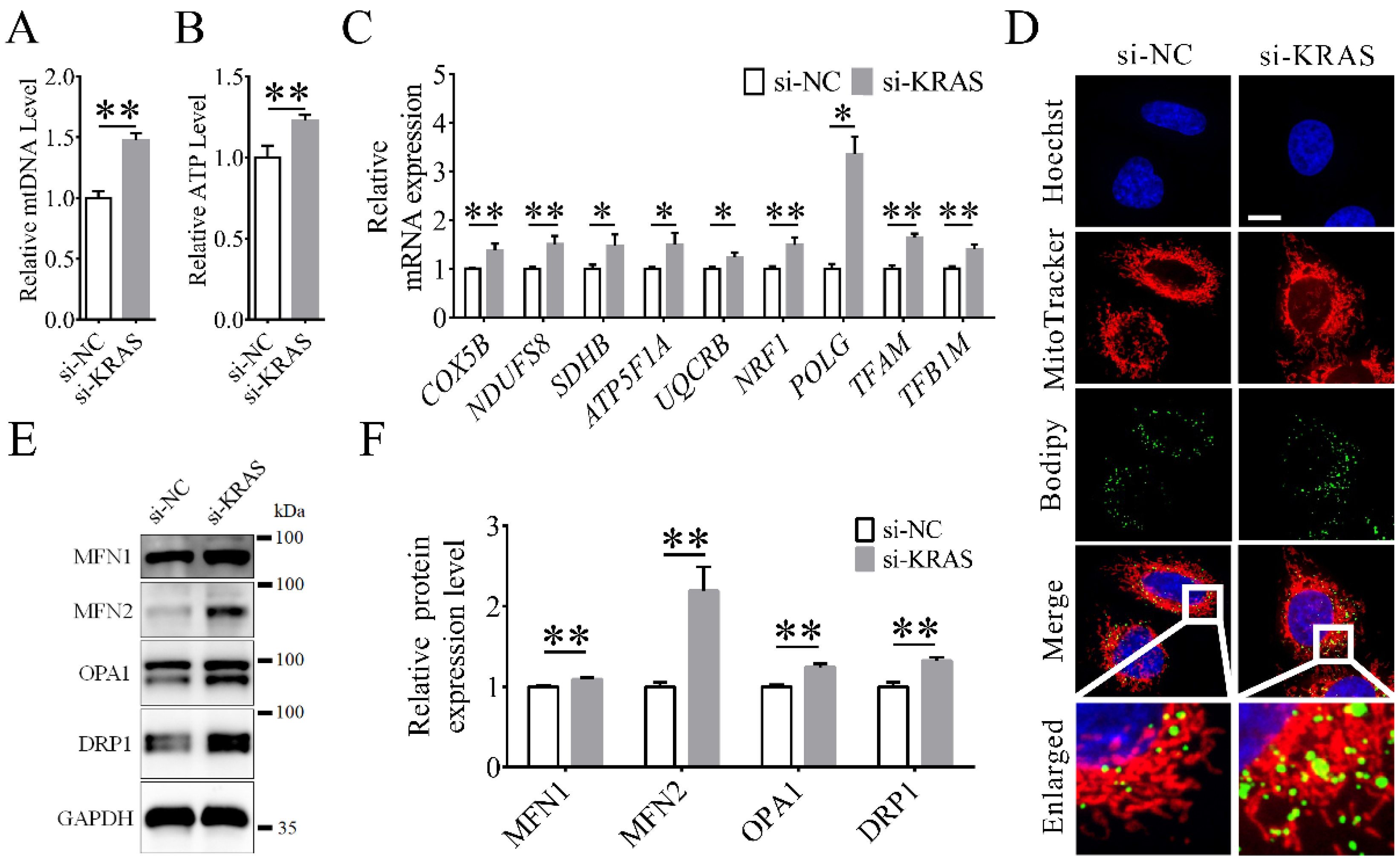 Animals 12 03070 g004