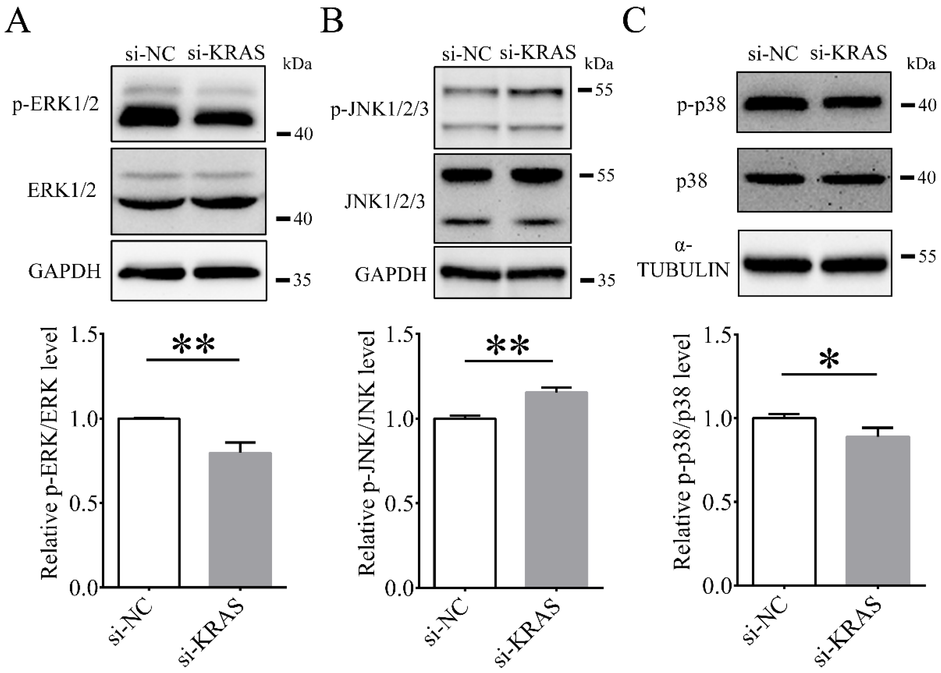 Animals 12 03070 g007