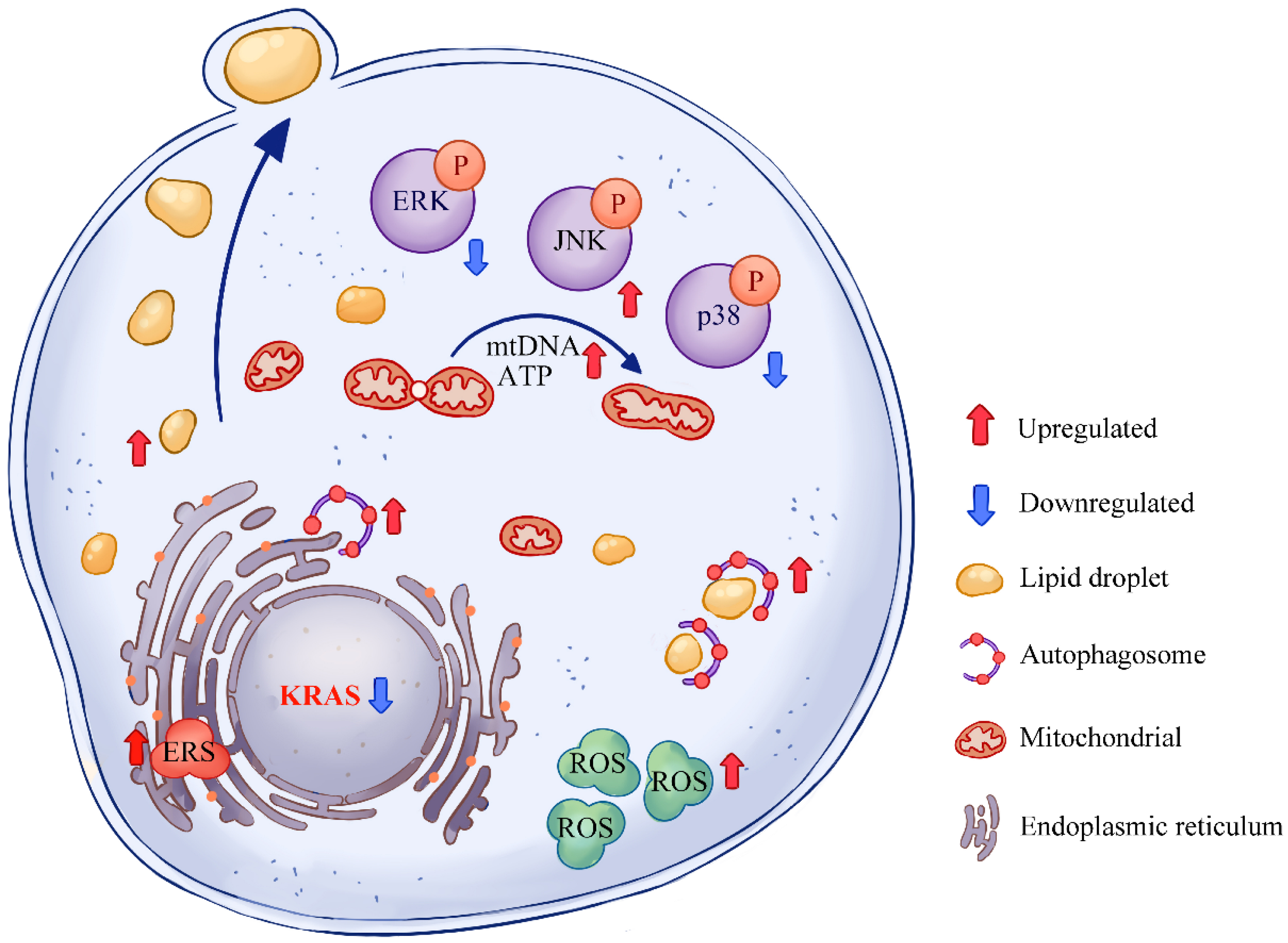Animals 12 03070 g008