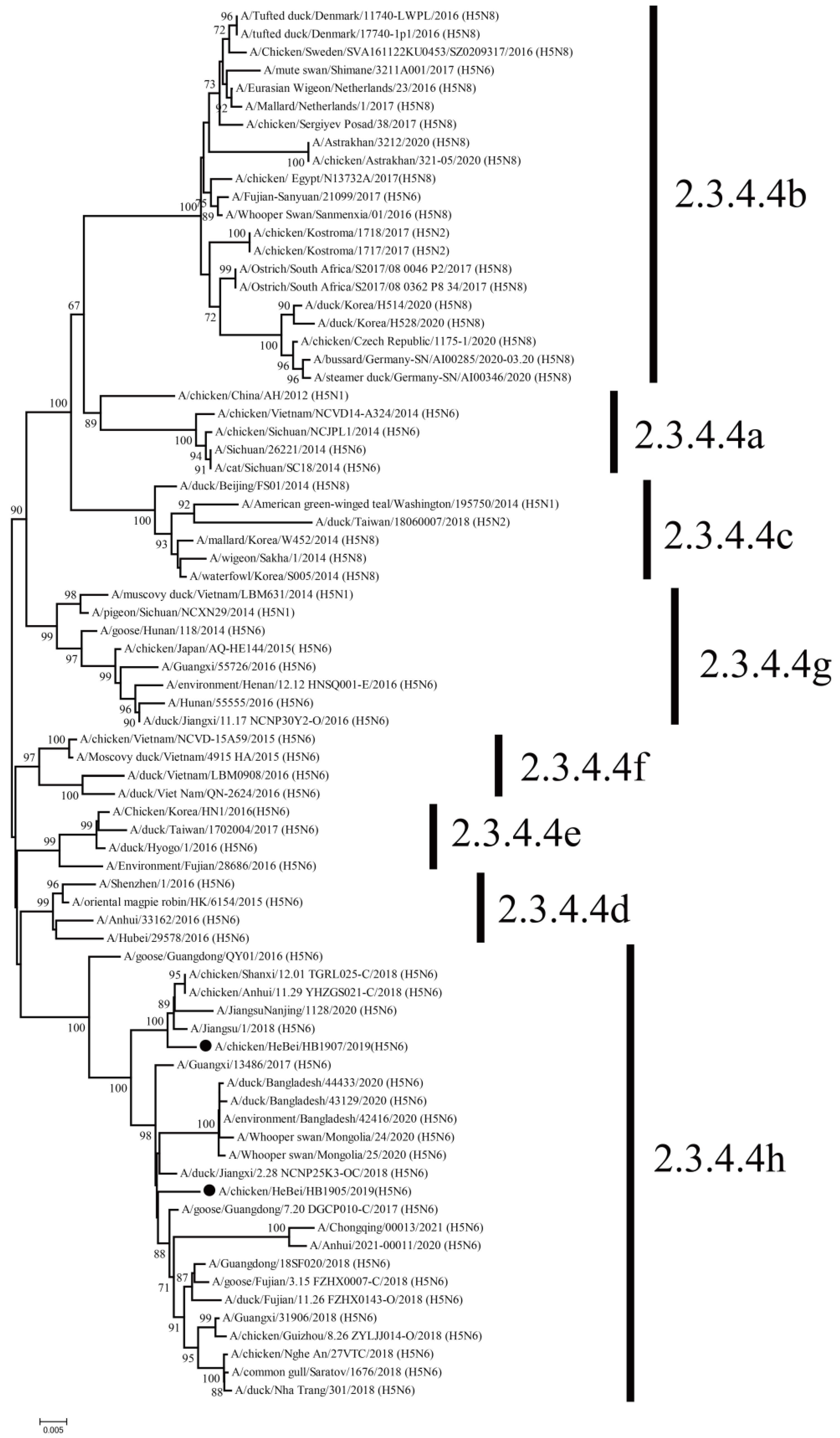 Animals 12 03079 g001 Animals 12 03079 g001