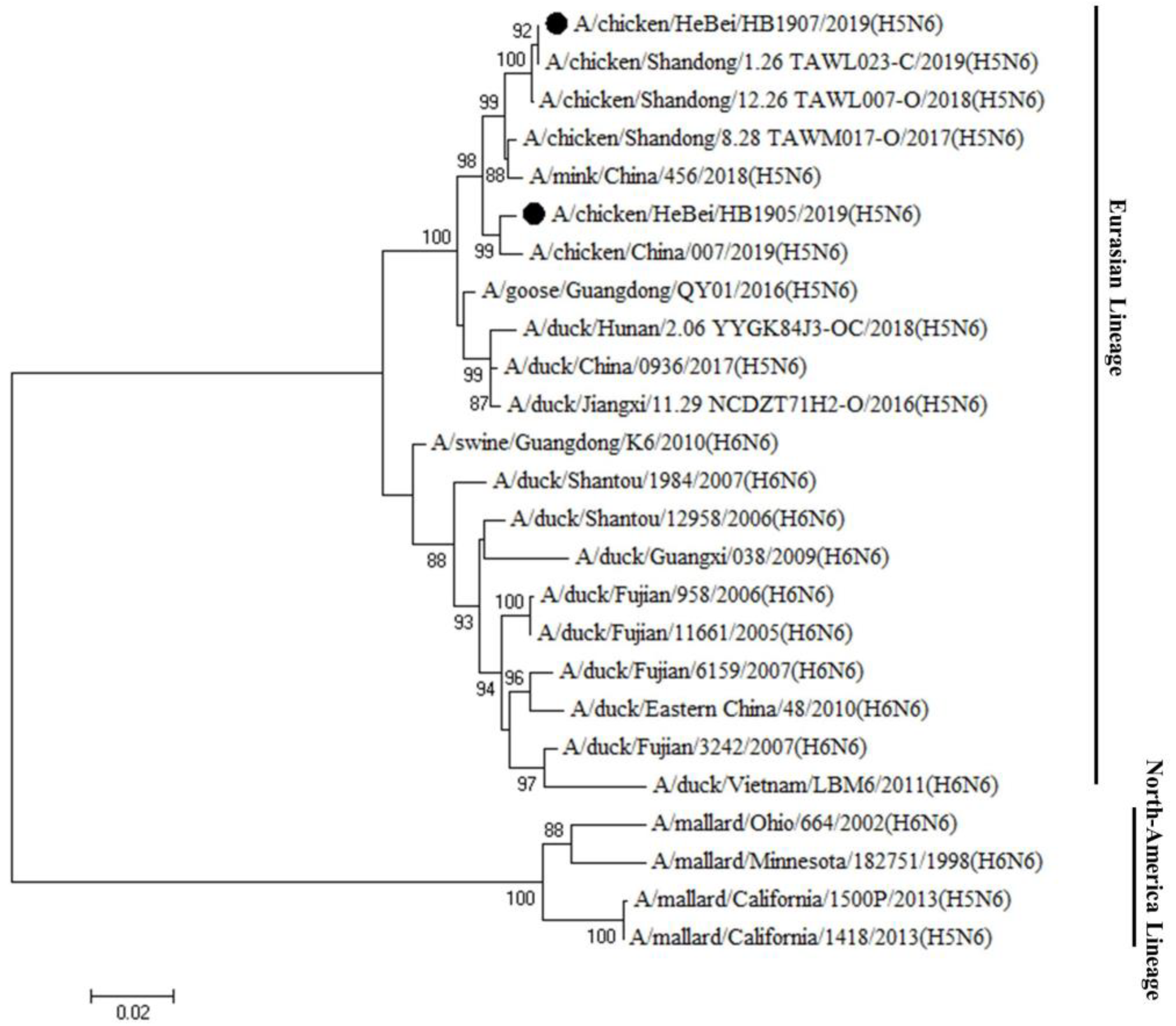 Animals 12 03079 g002 Animals 12 03079 g002