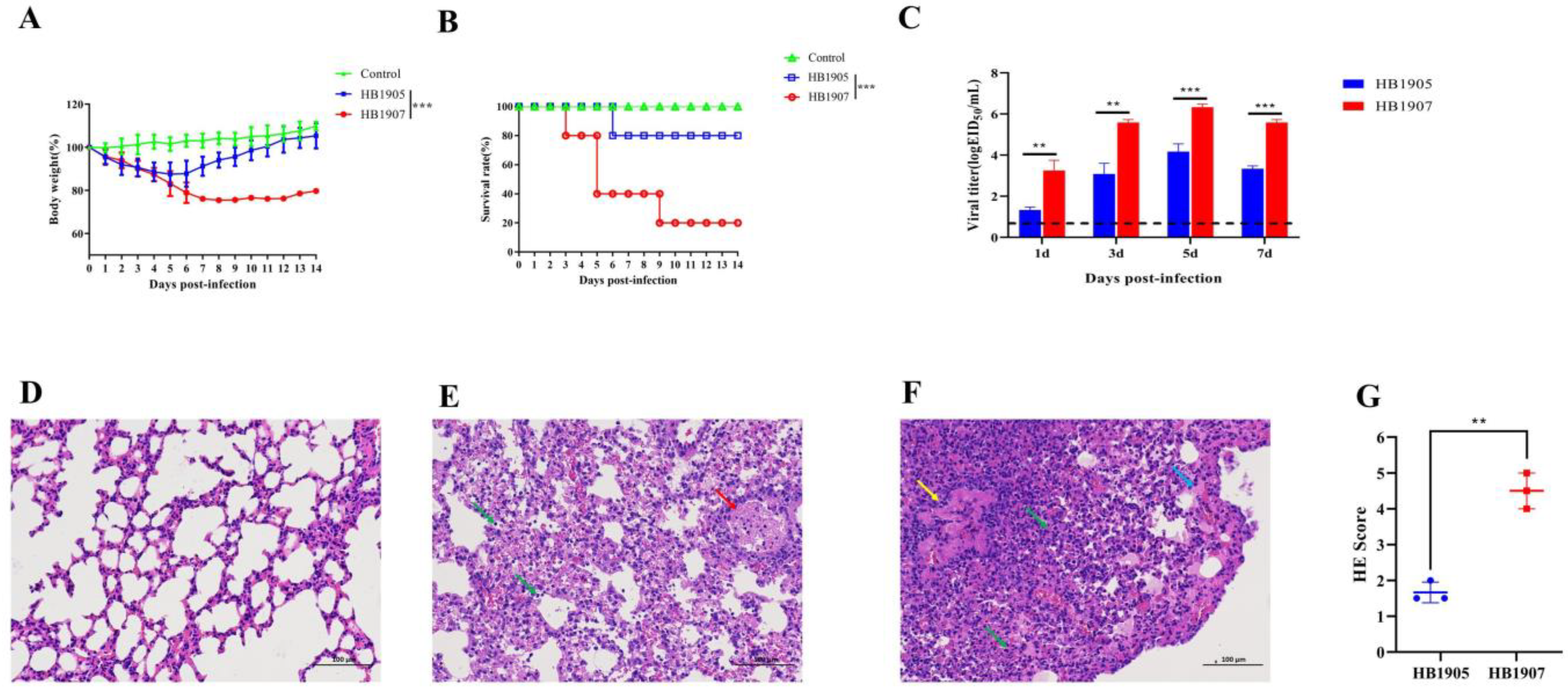 Animals 12 03079 g005 Animals 12 03079 g005