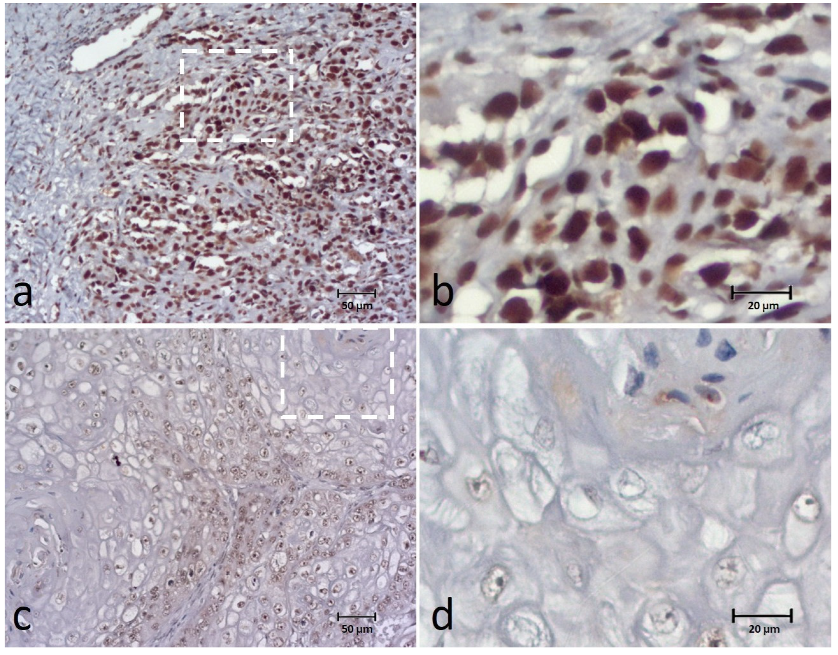 Animals 12 03082 g003 Animals 12 03082 g003