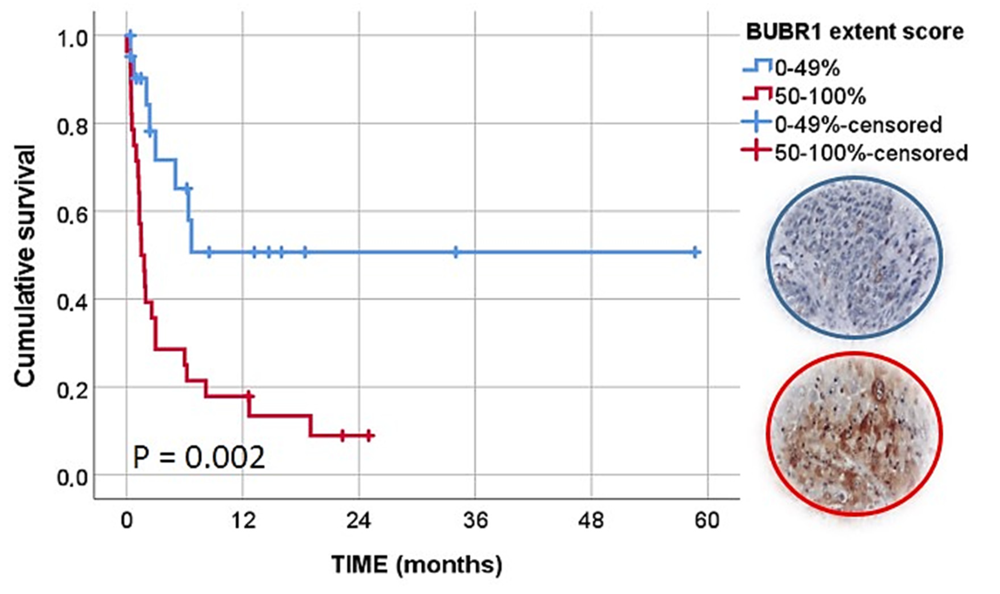 Animals 12 03082 g007 Animals 12 03082 g007