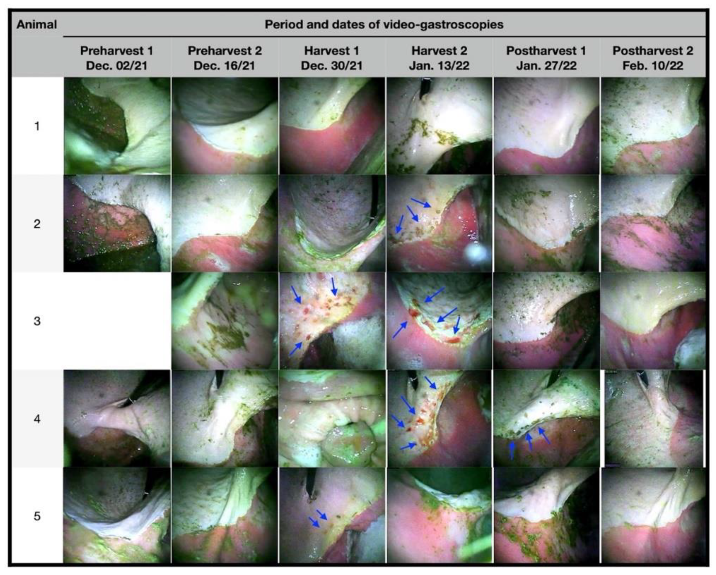 Animals 12 03084 g001