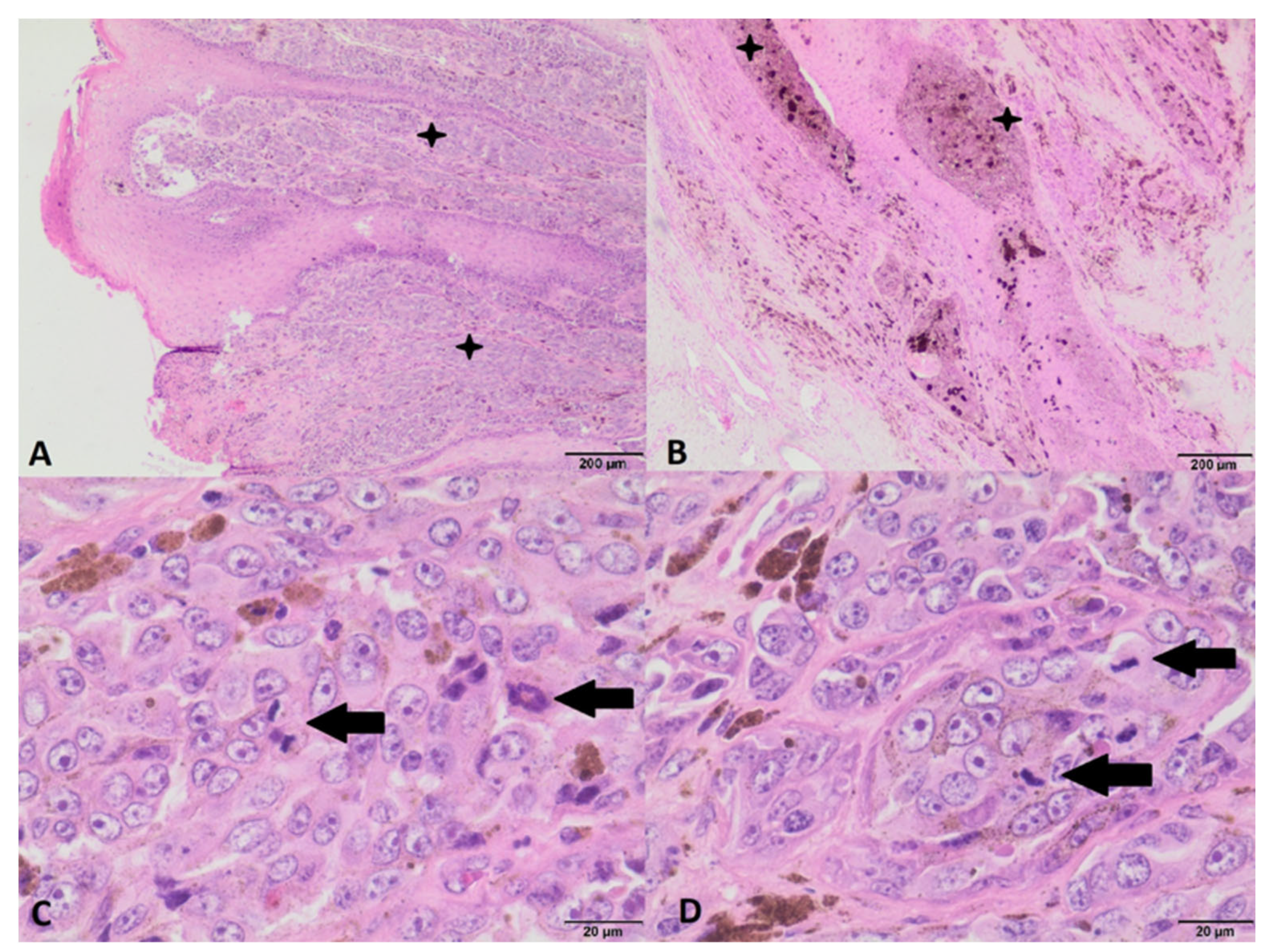 Animals 12 03090 g009 Animals 12 03090 g009