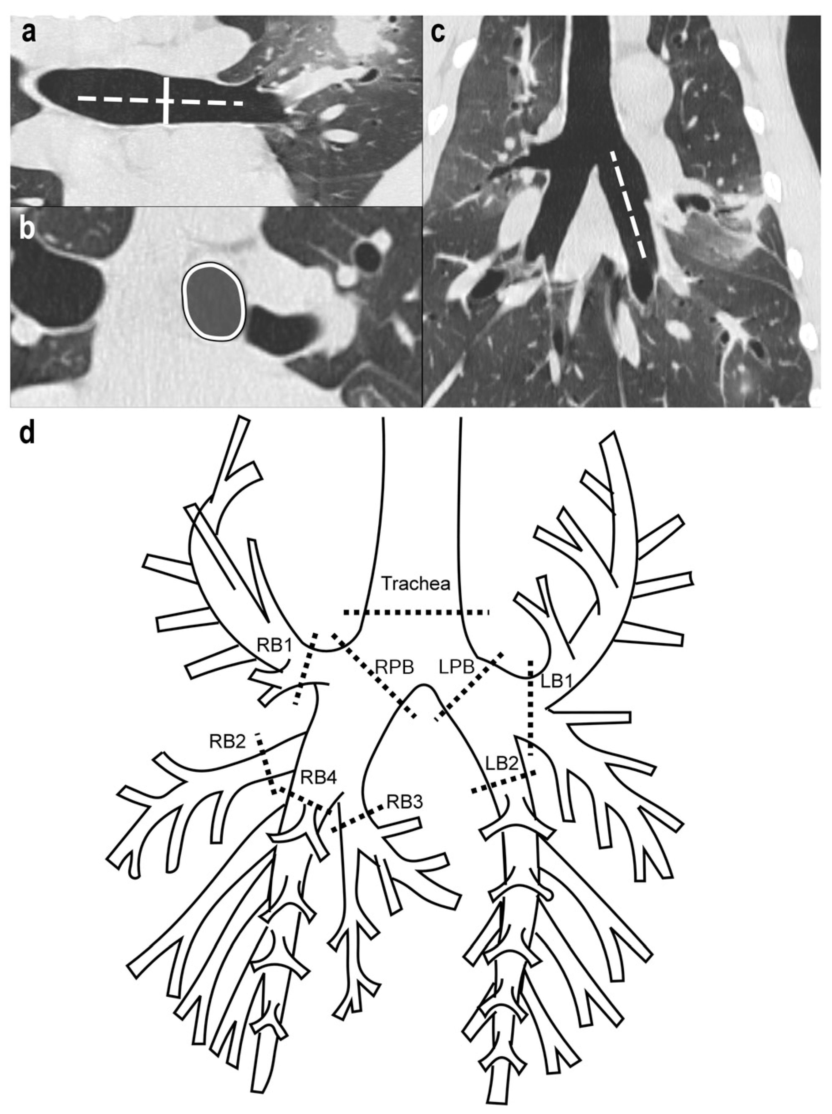 Animals 12 03091 g001