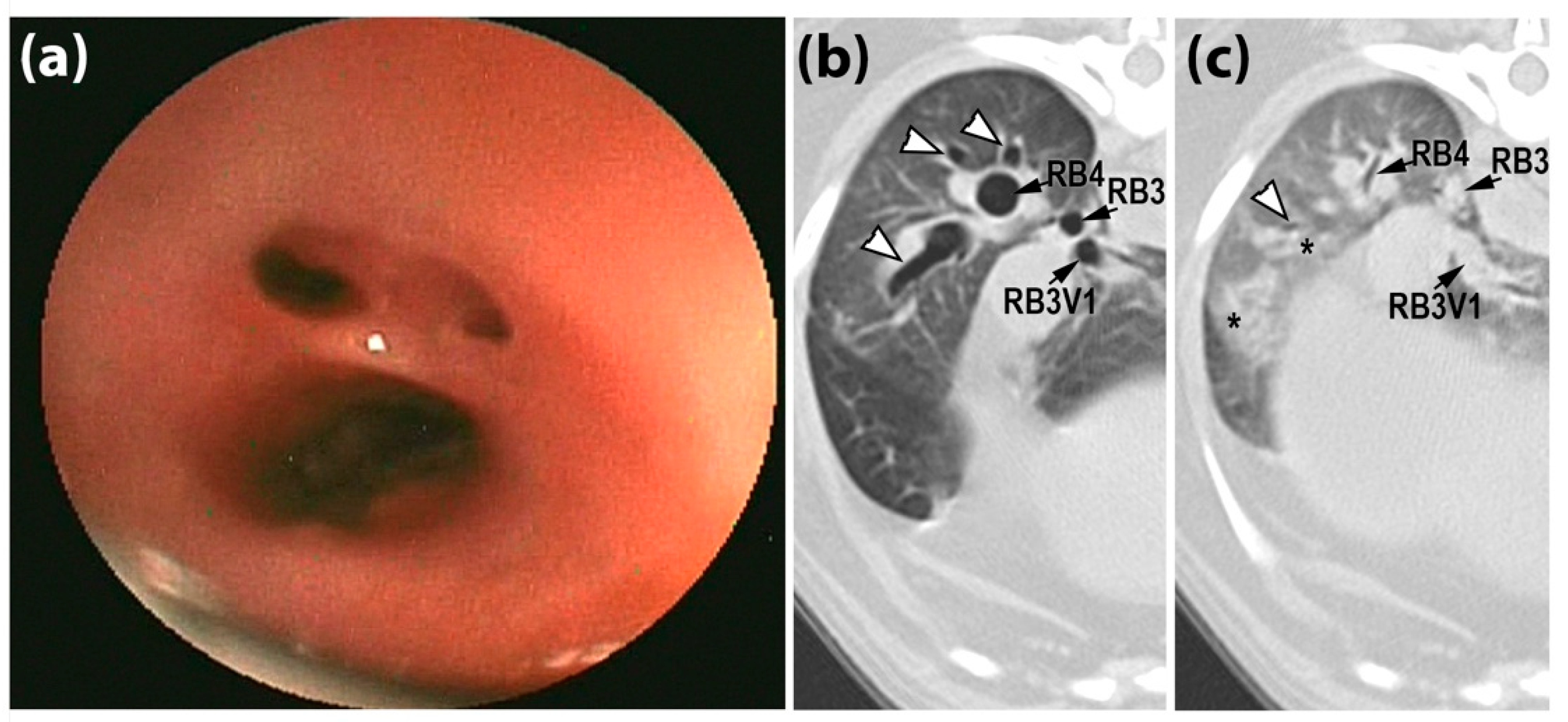 Animals 12 03091 g002