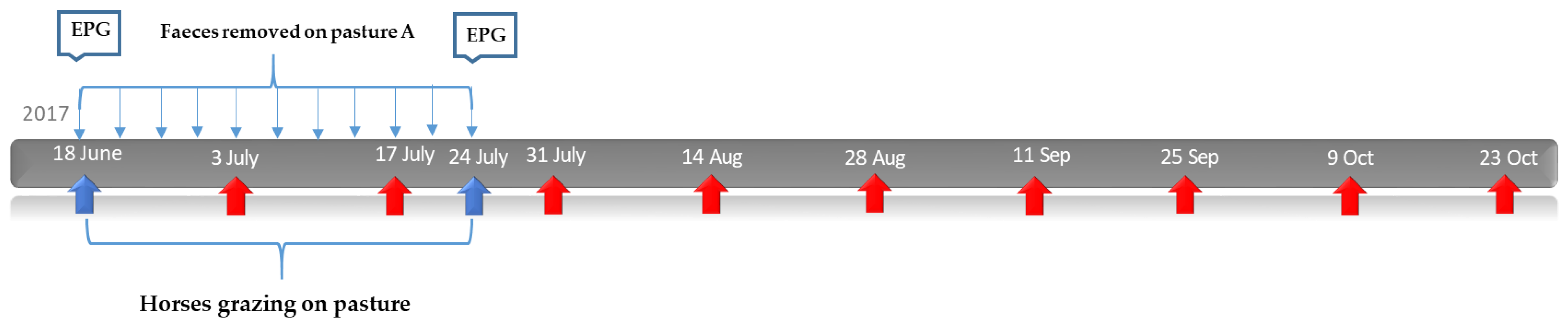 Animals 12 03093 g001