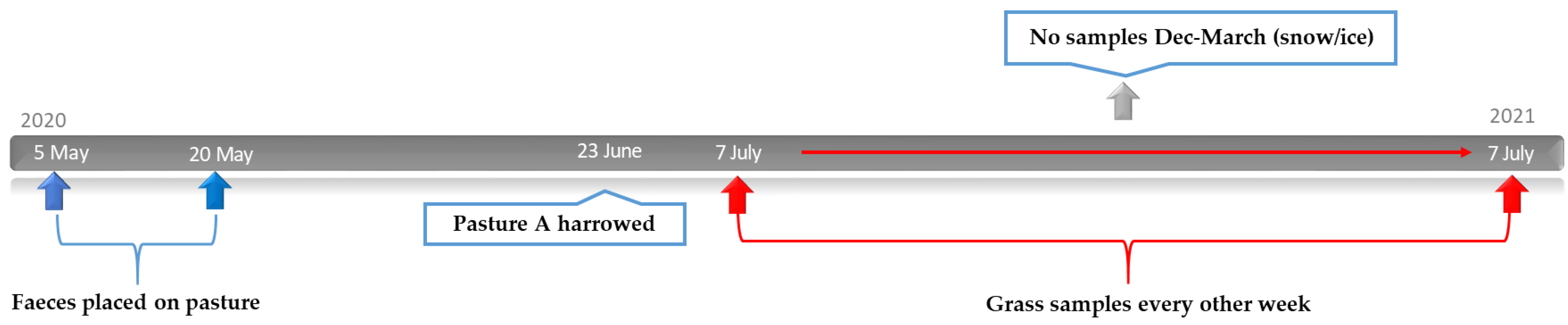 Animals 12 03093 g003