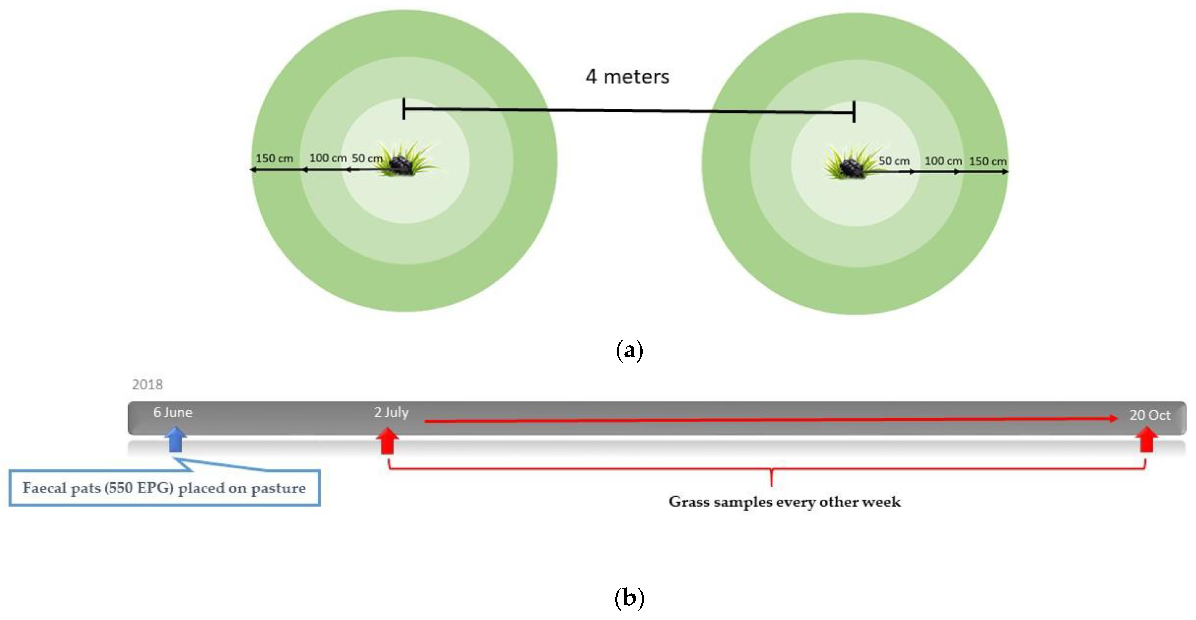 Animals 12 03093 g004
