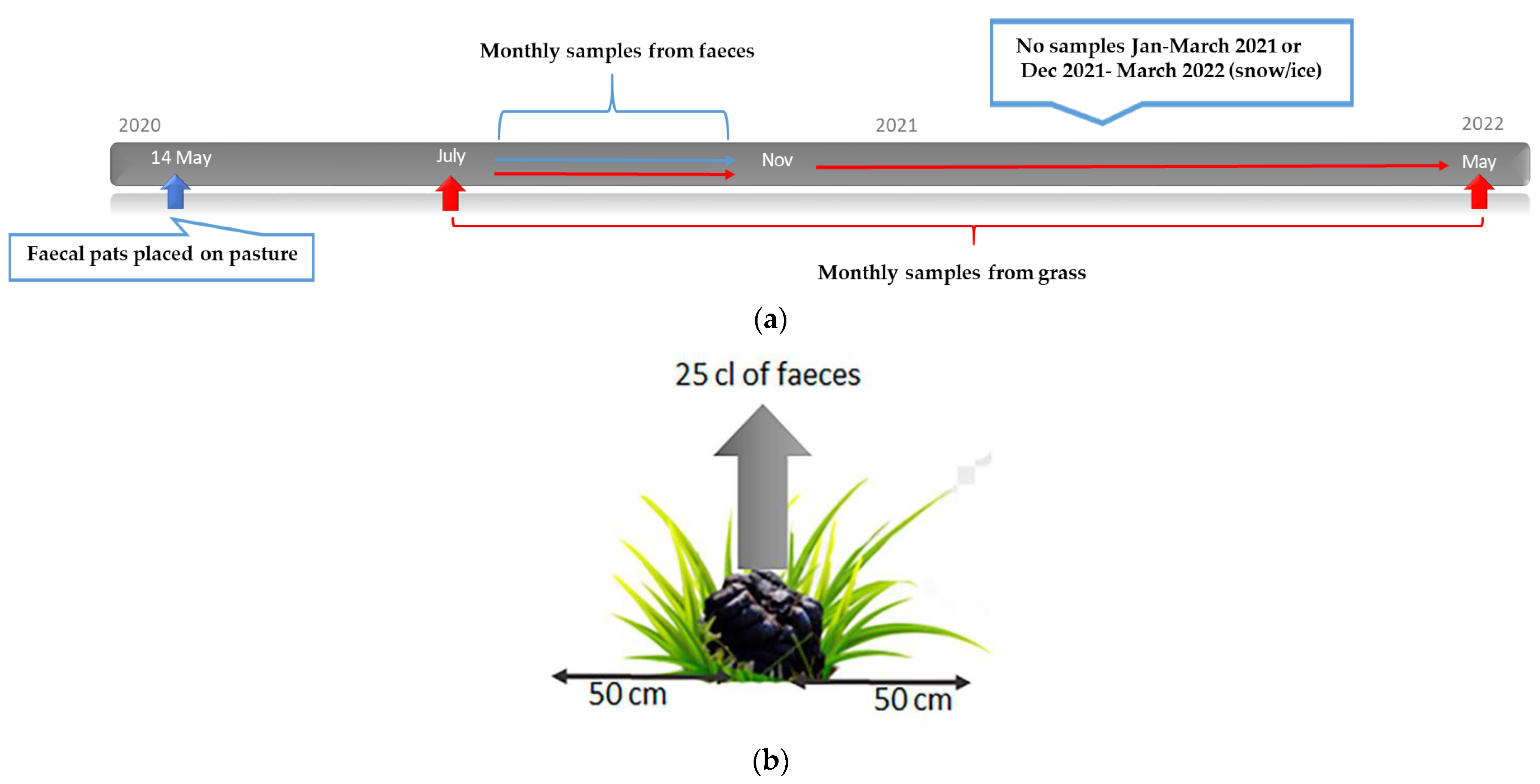 Animals 12 03093 g005
