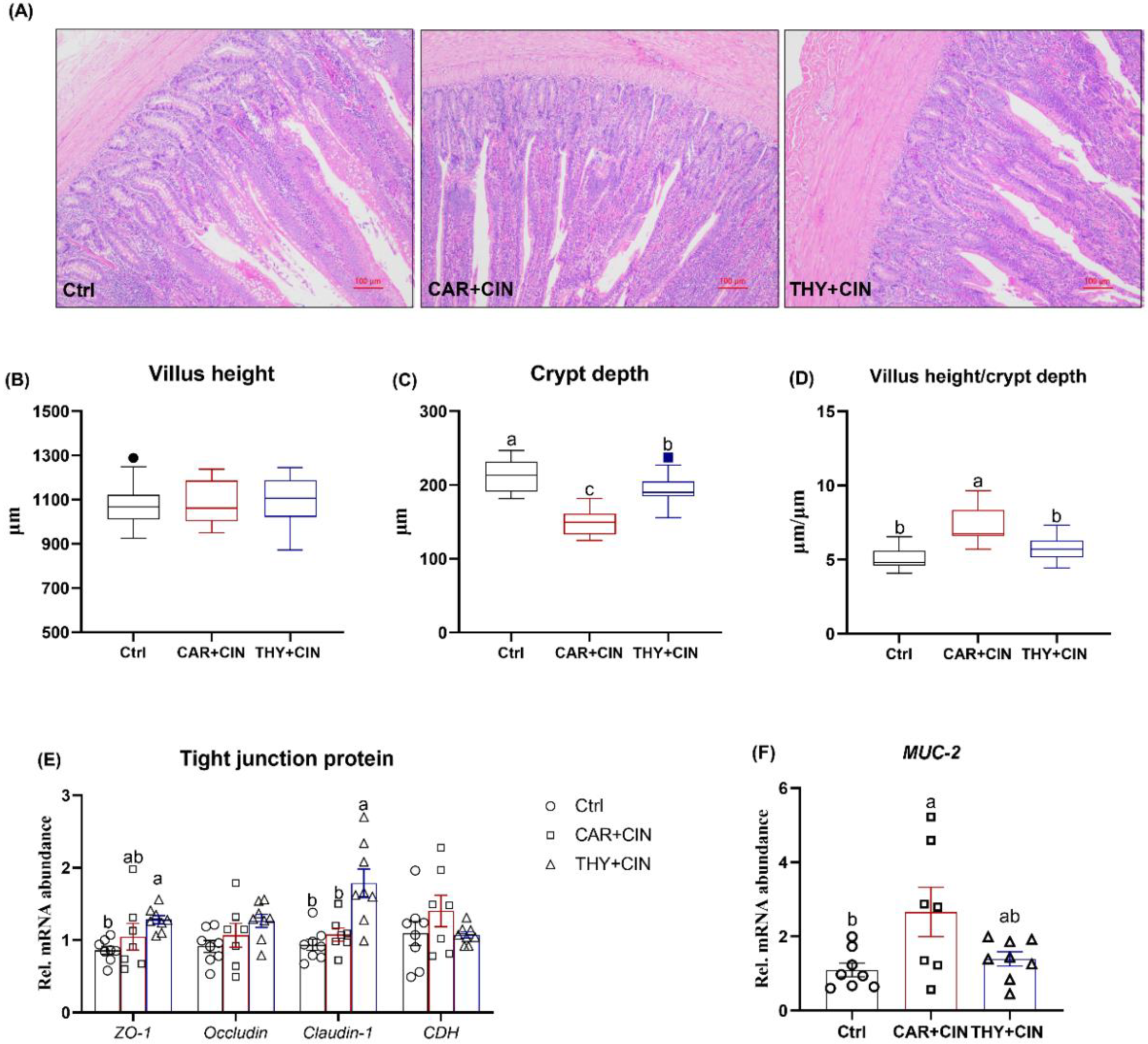 Animals 12 03108 g003 Animals 12 03108 g003