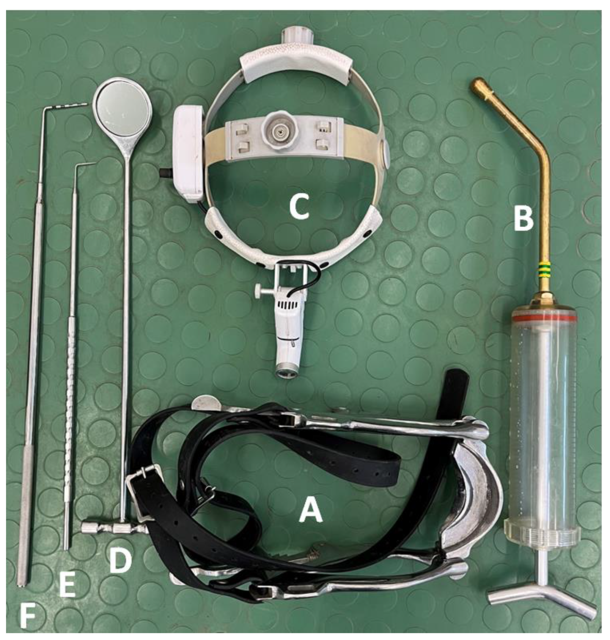 Animals 12 03120 g001