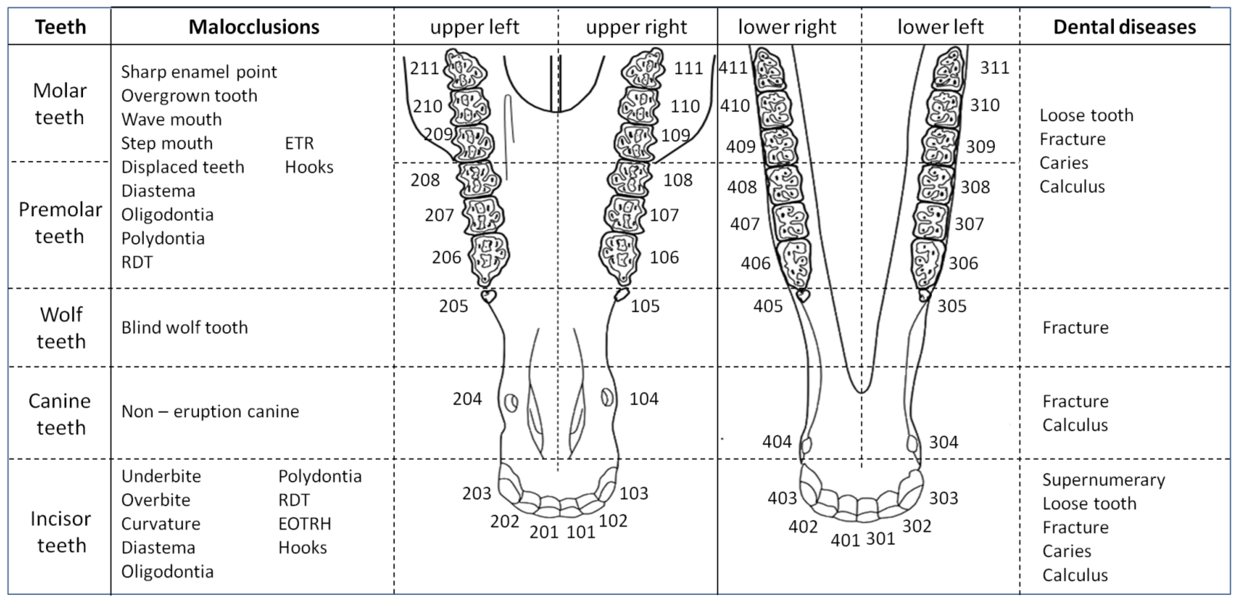 Animals 12 03120 g002