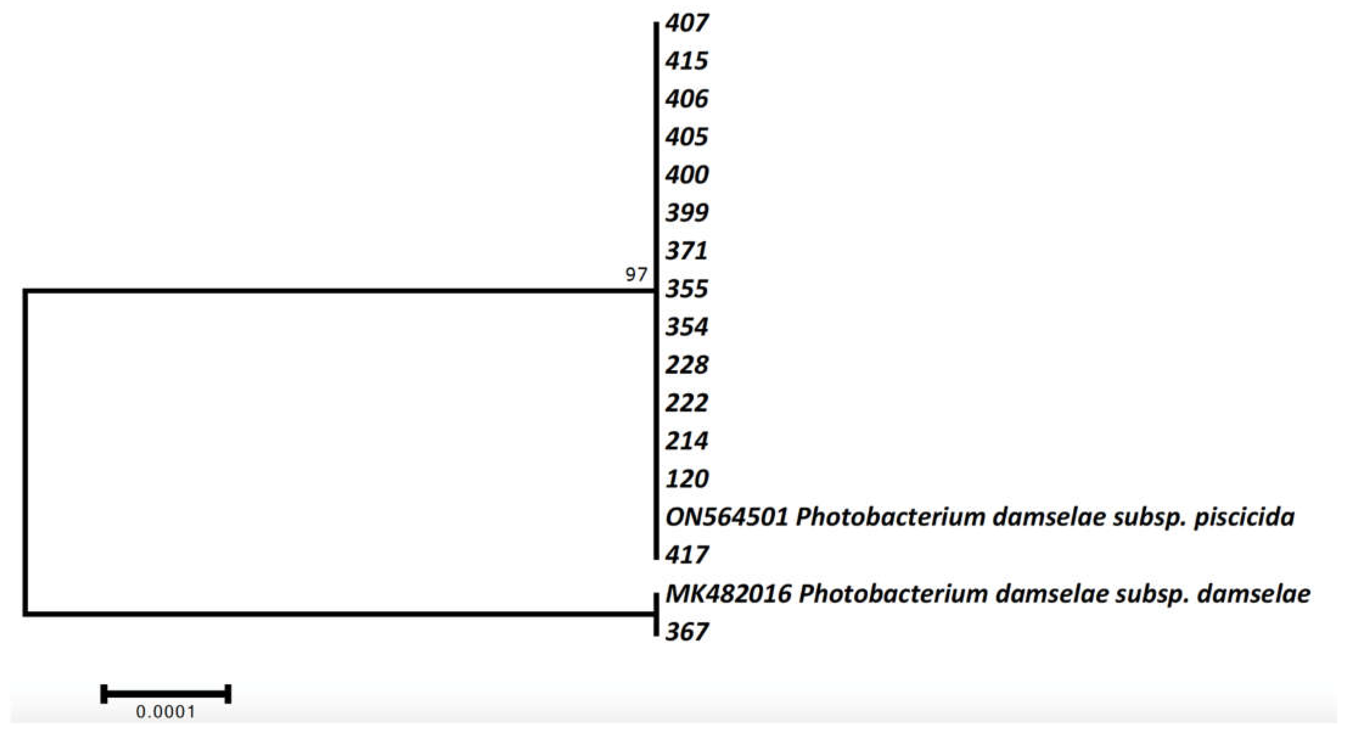 Animals 12 03133 g004 Animals 12 03133 g004