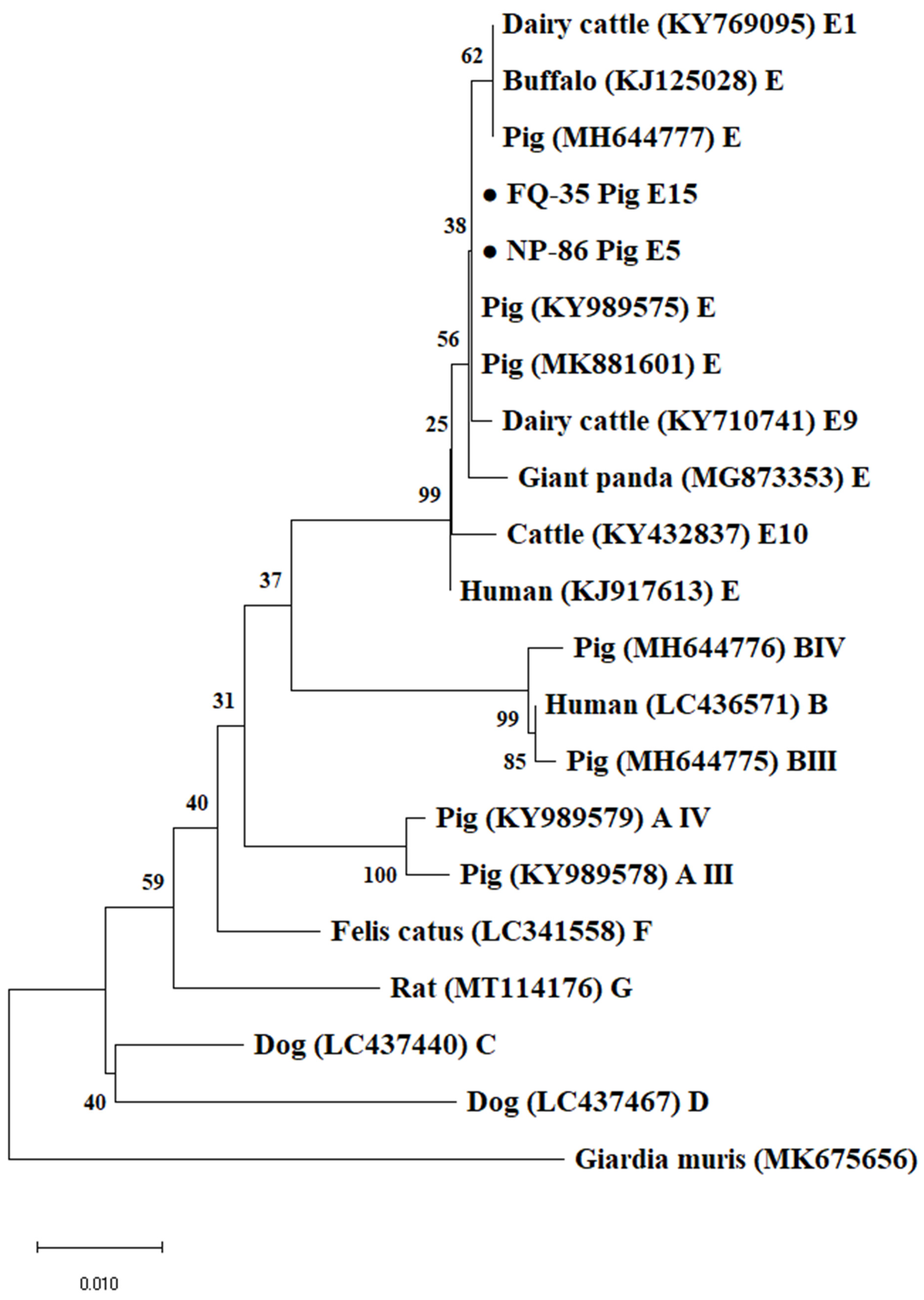 Animals 12 03148 g002 Animals 12 03148 g002