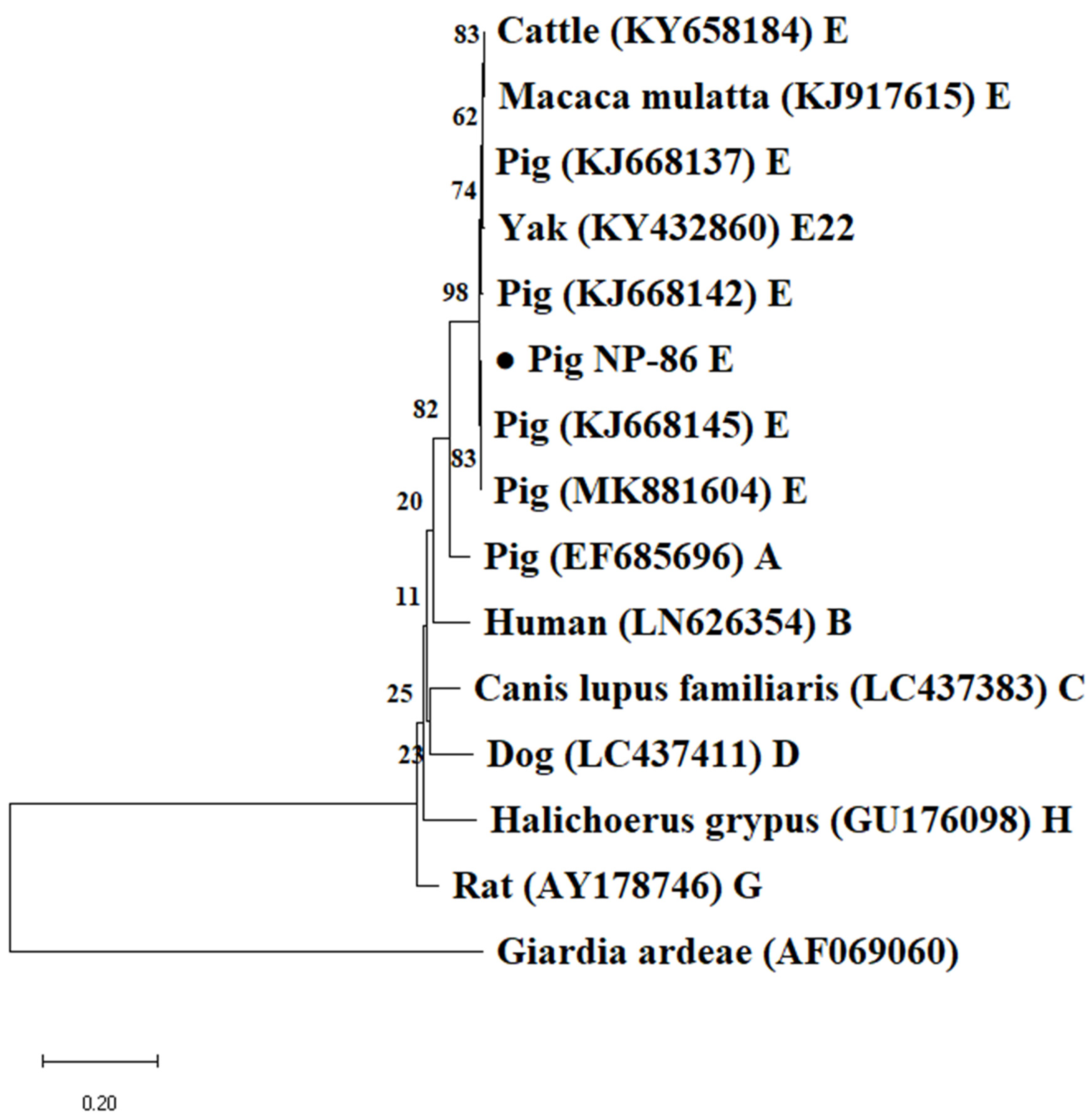 Animals 12 03148 g004 Animals 12 03148 g004