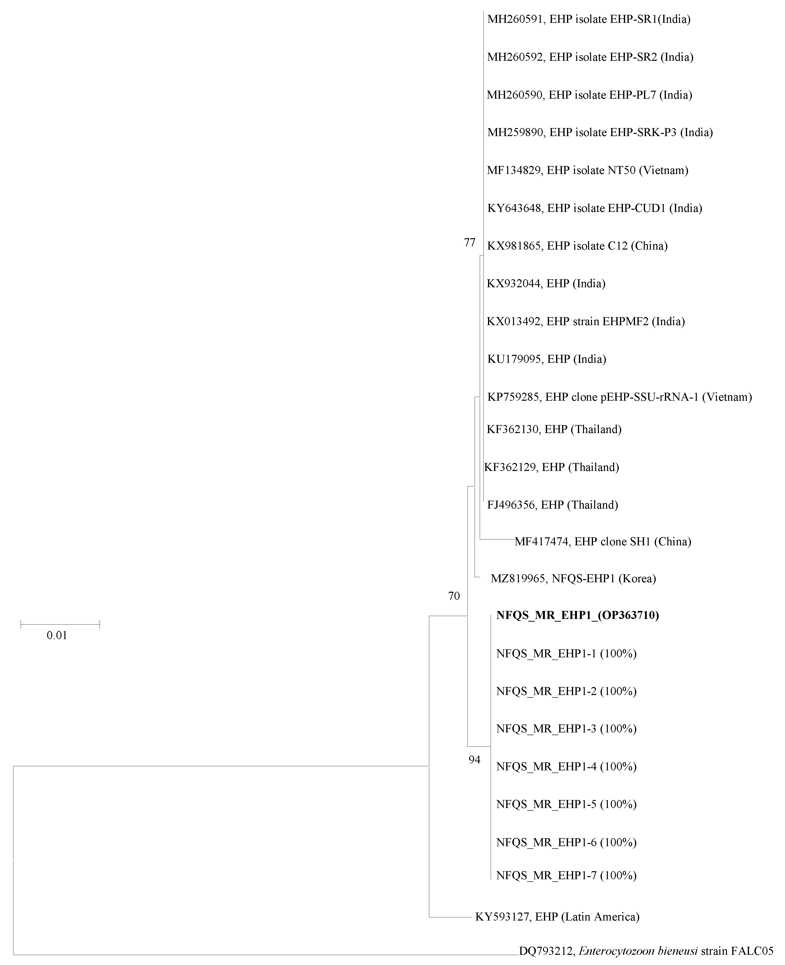 Animals 12 03149 g001 Animals 12 03149 g001