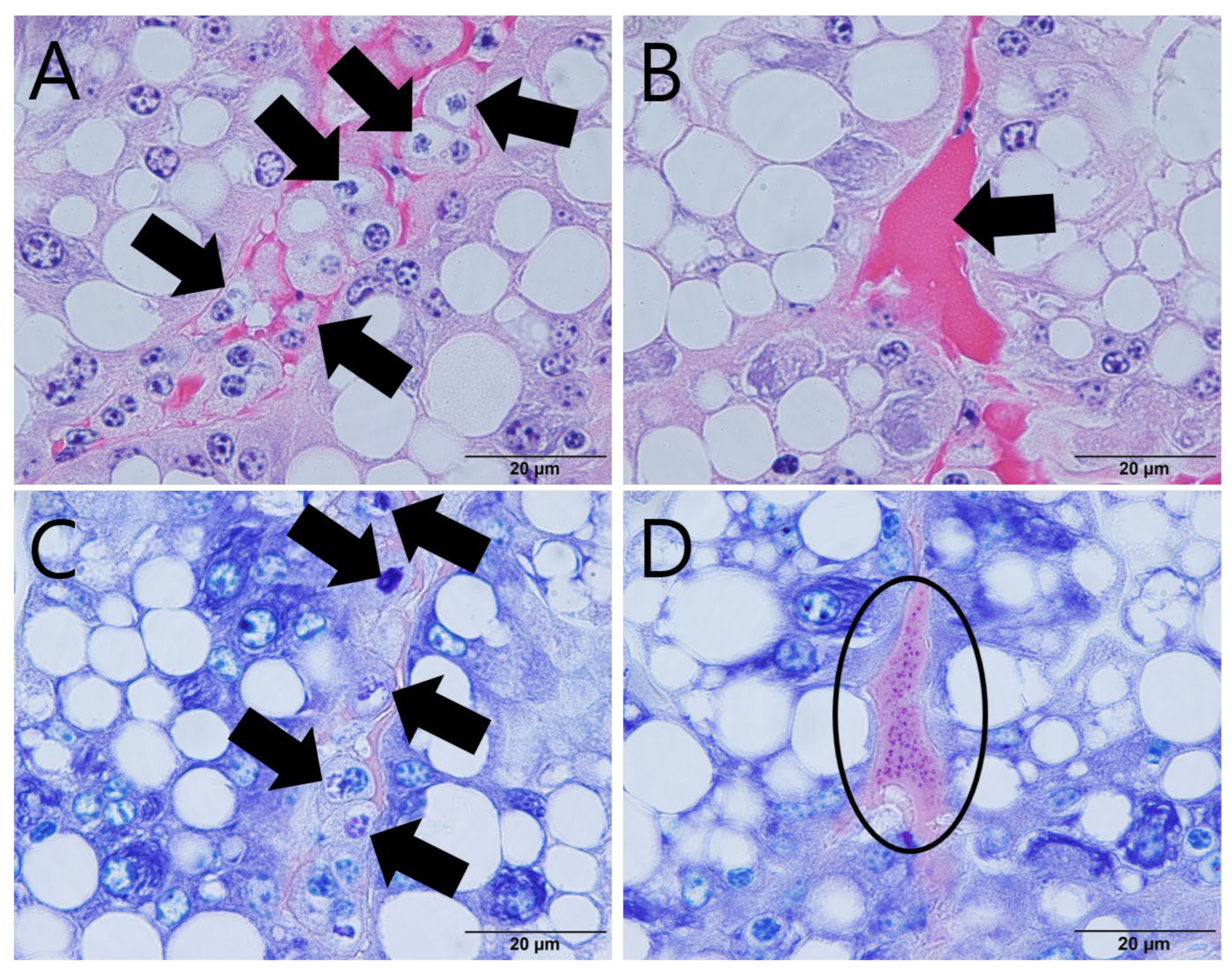 Animals 12 03149 g002 Animals 12 03149 g002