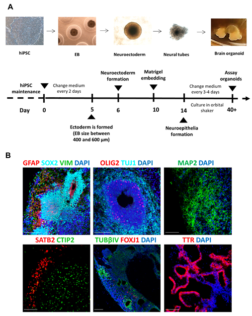 Animals 12 03150 g001 Animals 12 03150 g001
