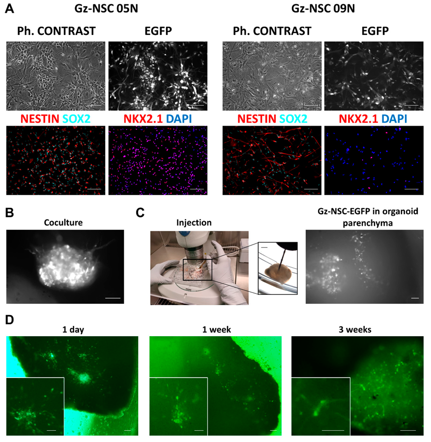 Animals 12 03150 g002 Animals 12 03150 g002