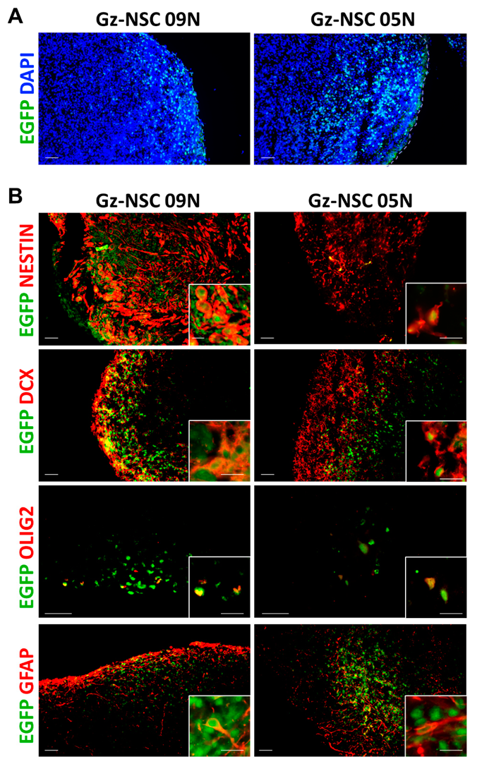 Animals 12 03150 g003 Animals 12 03150 g003