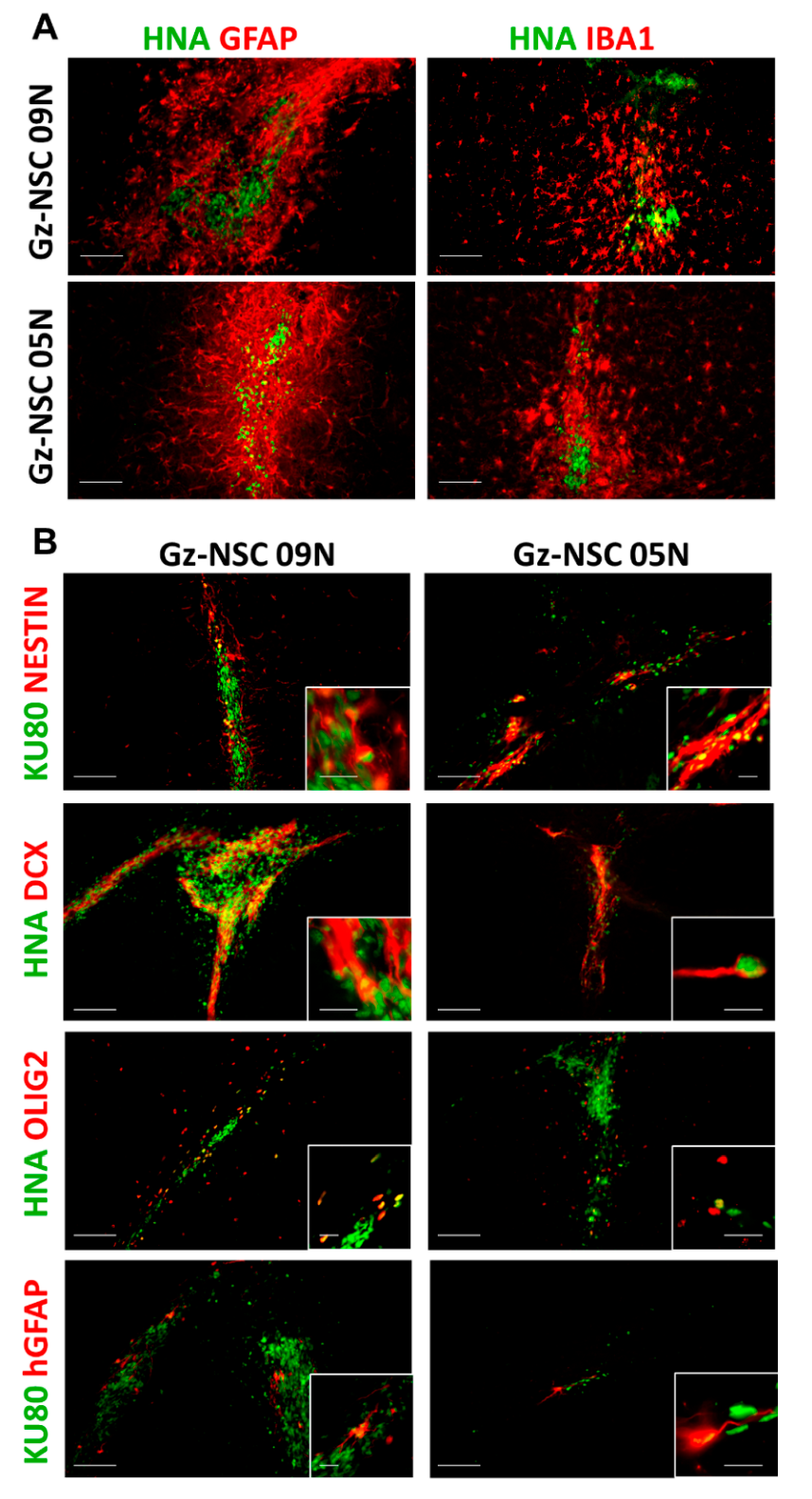 Animals 12 03150 g004 Animals 12 03150 g004
