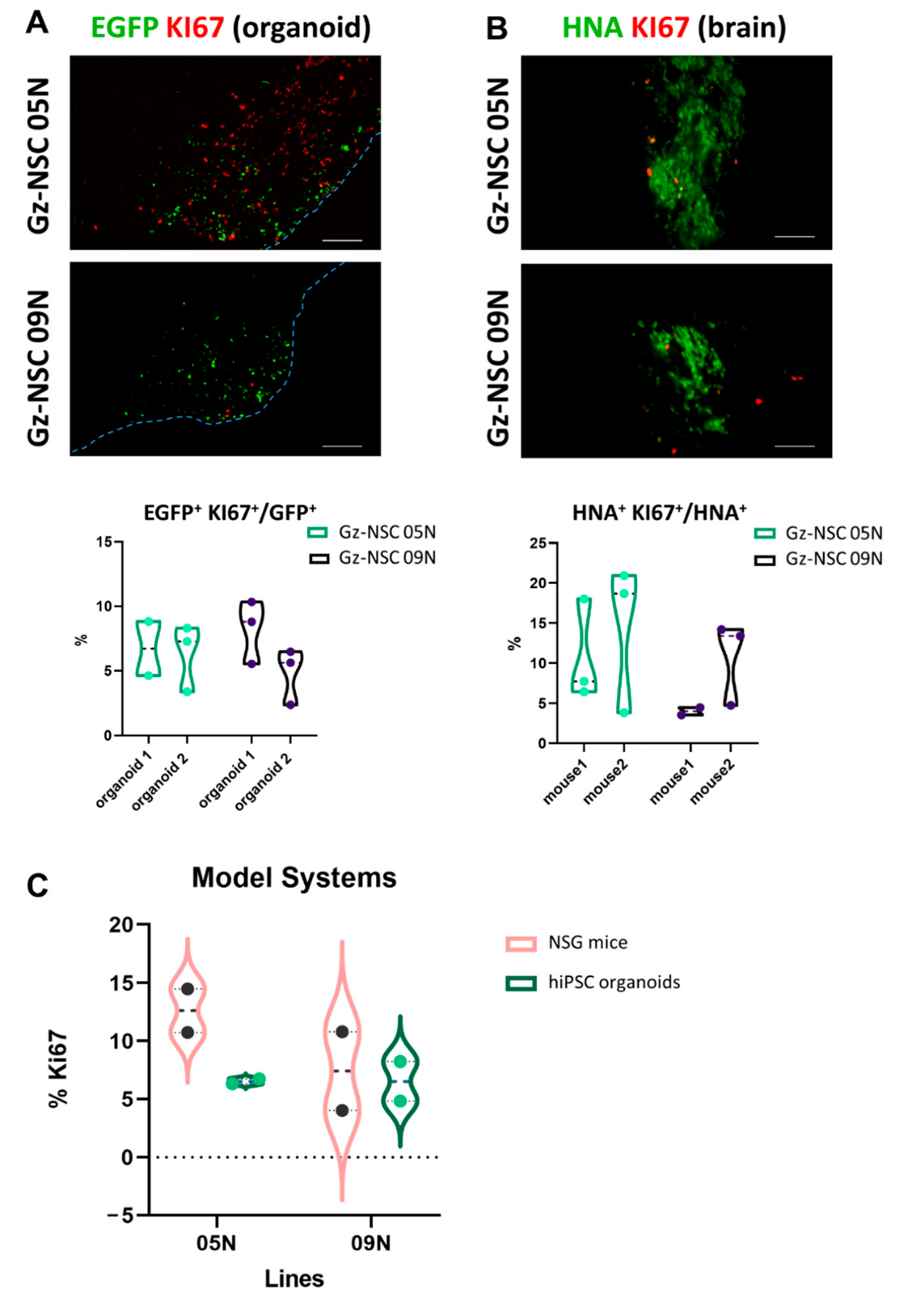 Animals 12 03150 g005 Animals 12 03150 g005