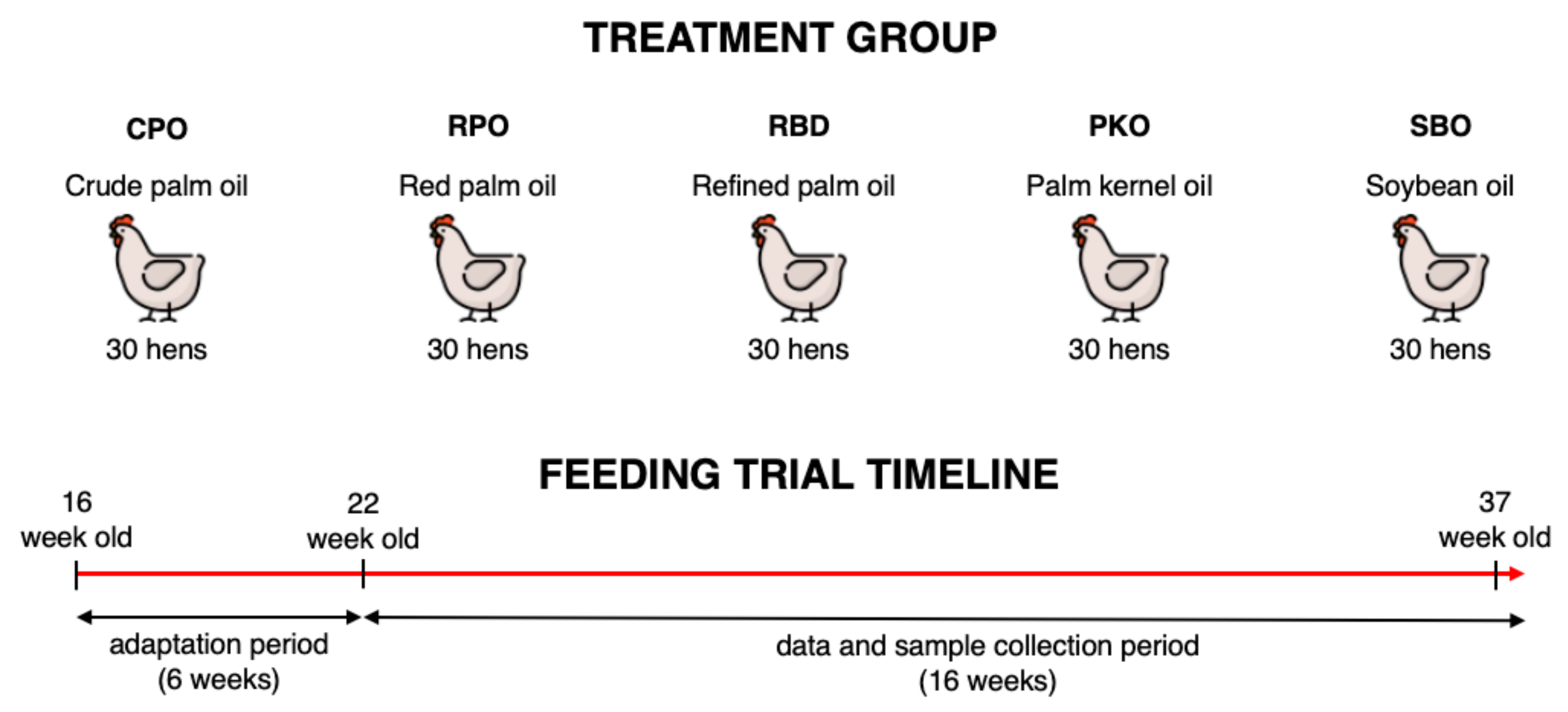 Animals 12 03156 g002 Animals 12 03156 g002