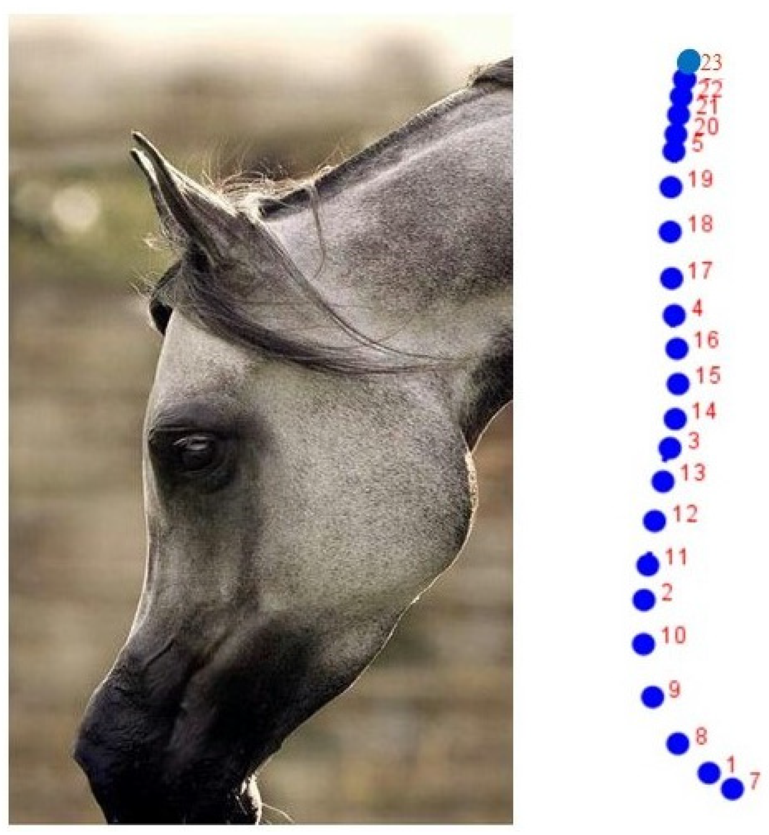 Animals 12 03168 g001