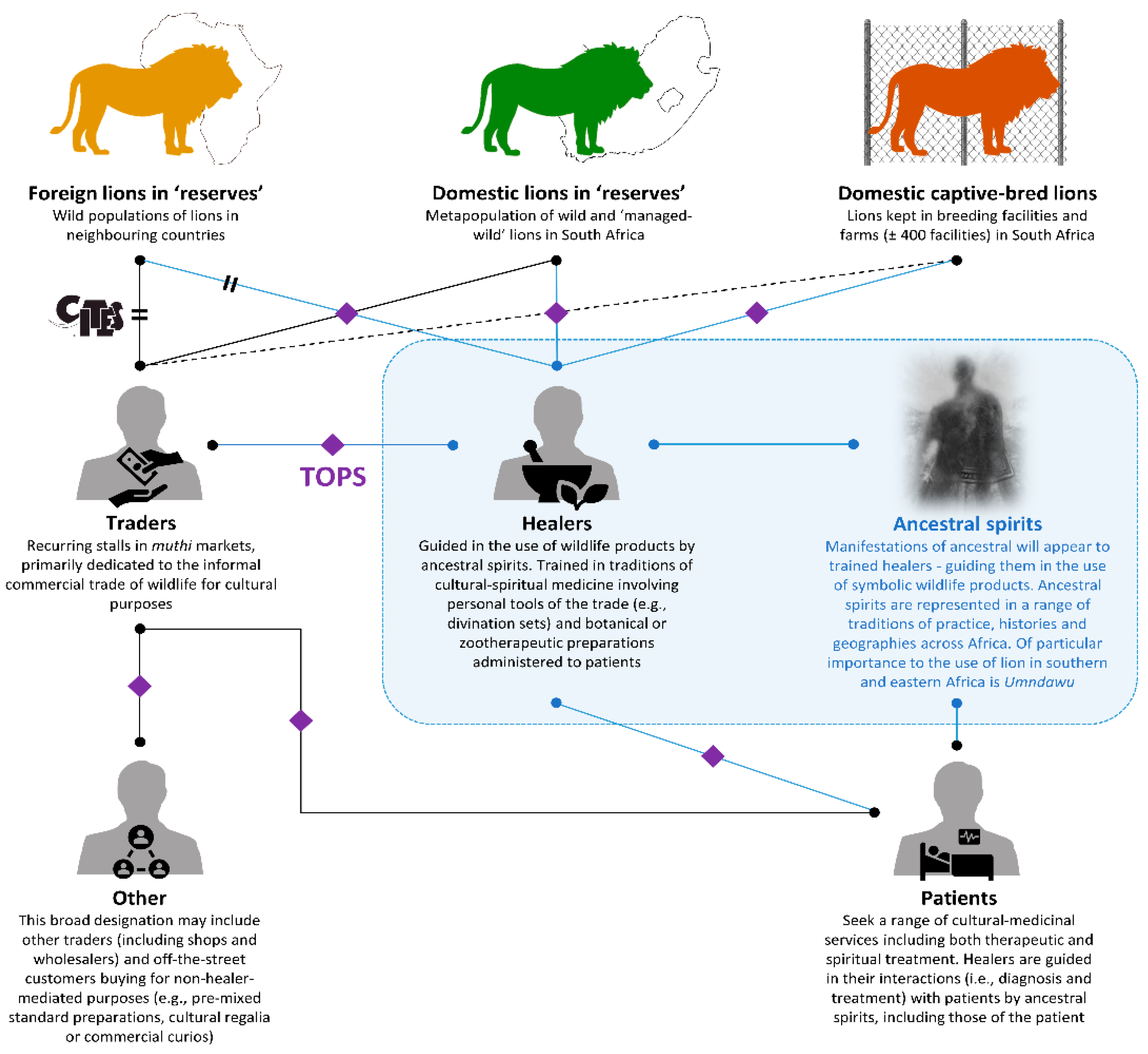 Animals 12 03169 g008