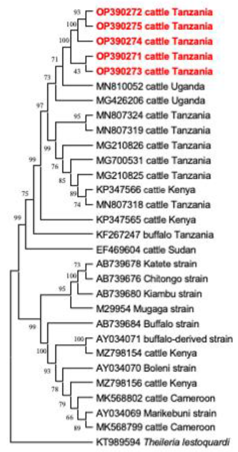 Animals 12 03171 g002 Animals 12 03171 g002