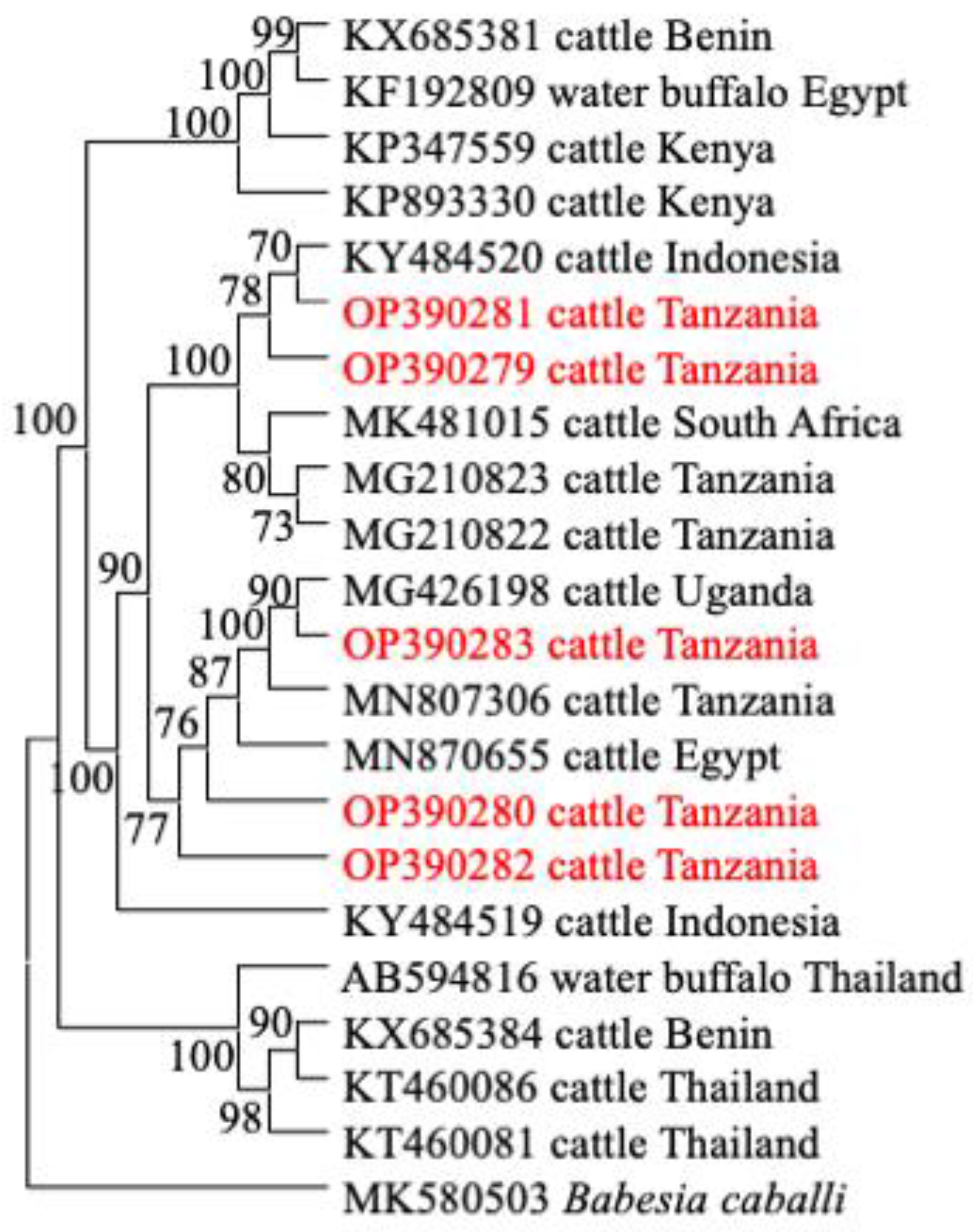 Animals 12 03171 g003 Animals 12 03171 g003