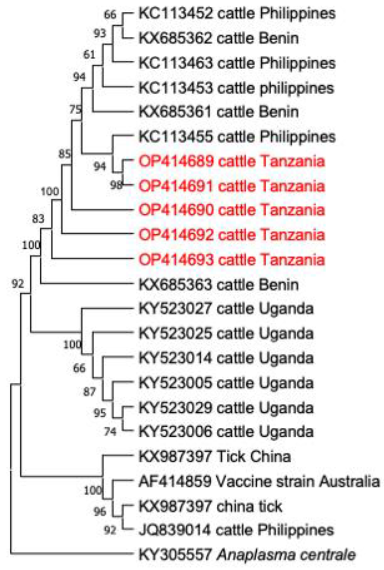 Animals 12 03171 g004 Animals 12 03171 g004