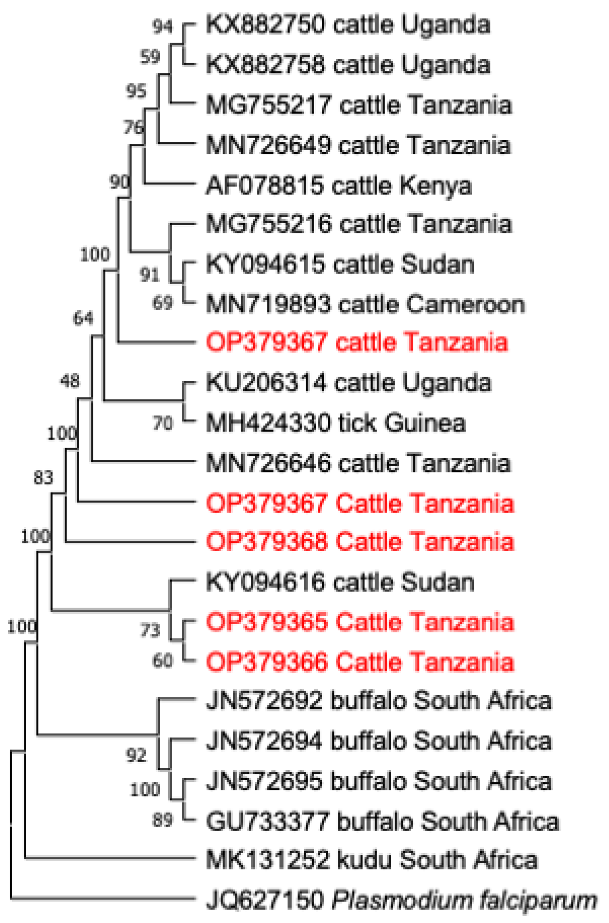 Animals 12 03171 g005 Animals 12 03171 g005