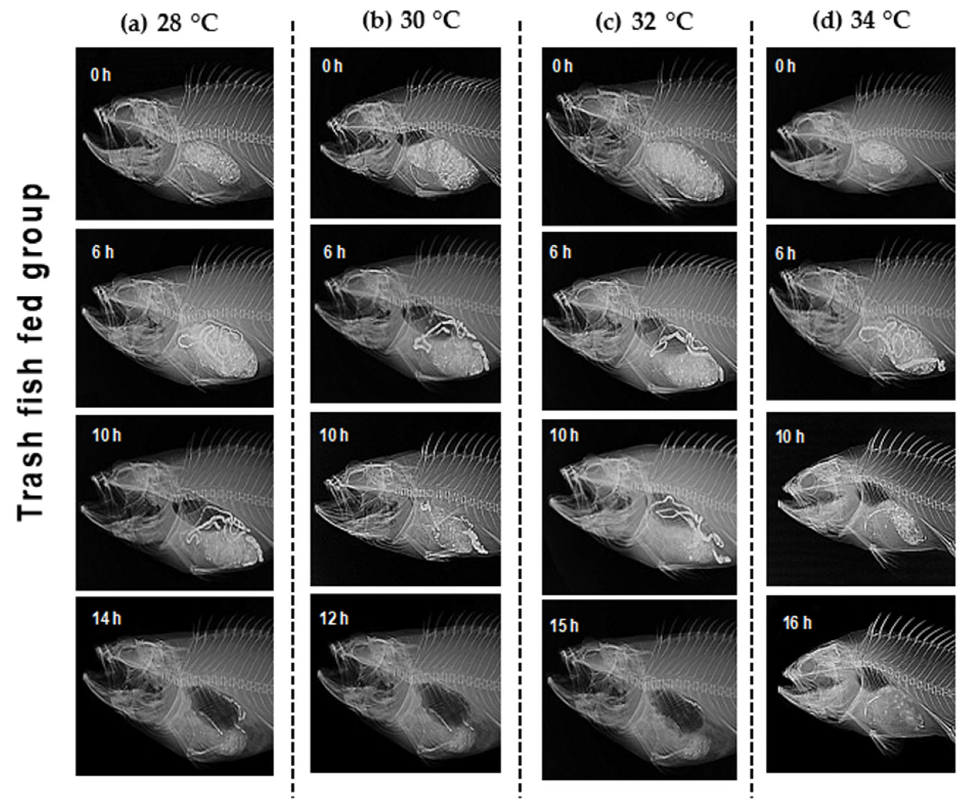 Animals 12 03172 g006