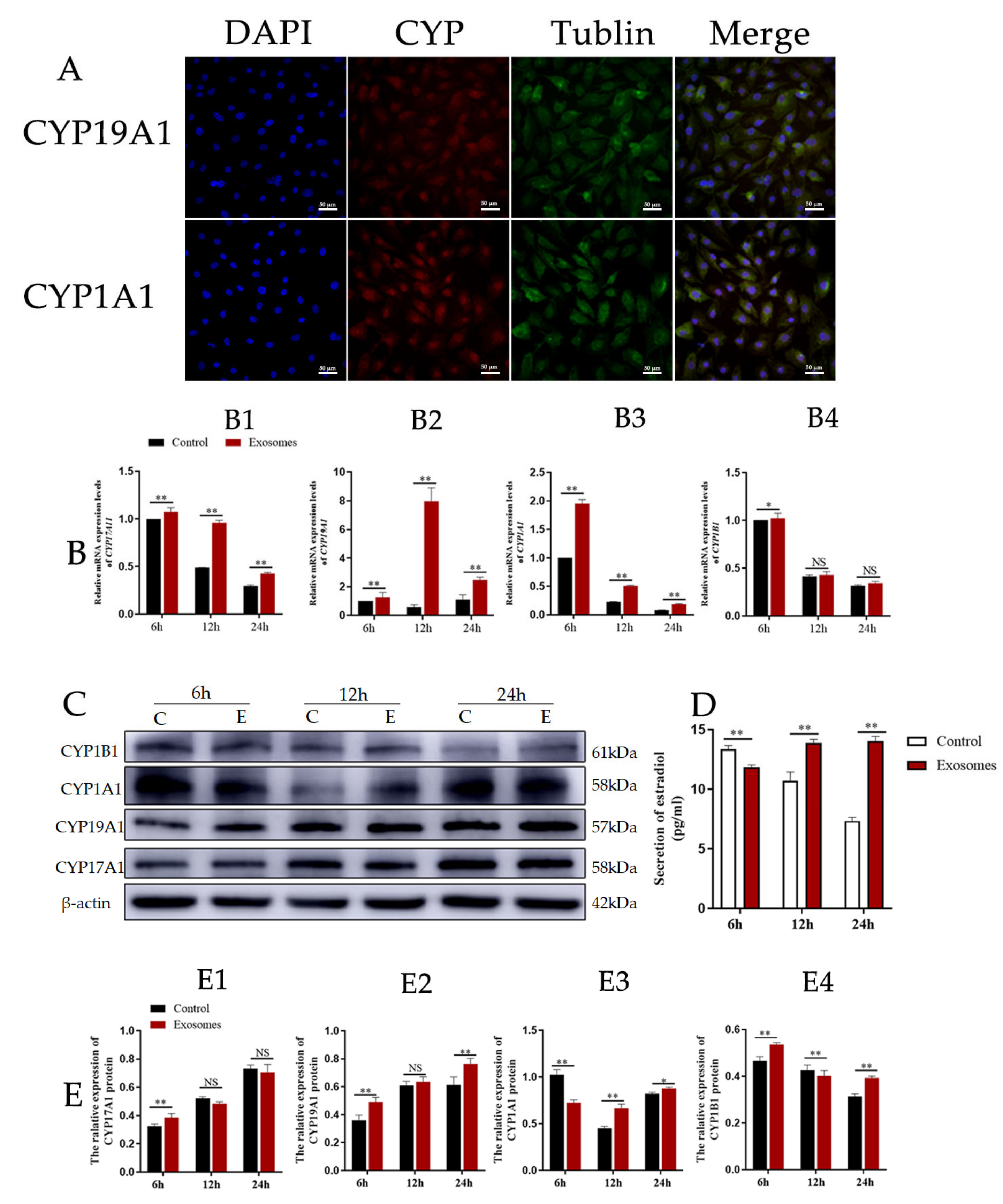 Animals 12 03174 g005 Animals 12 03174 g005