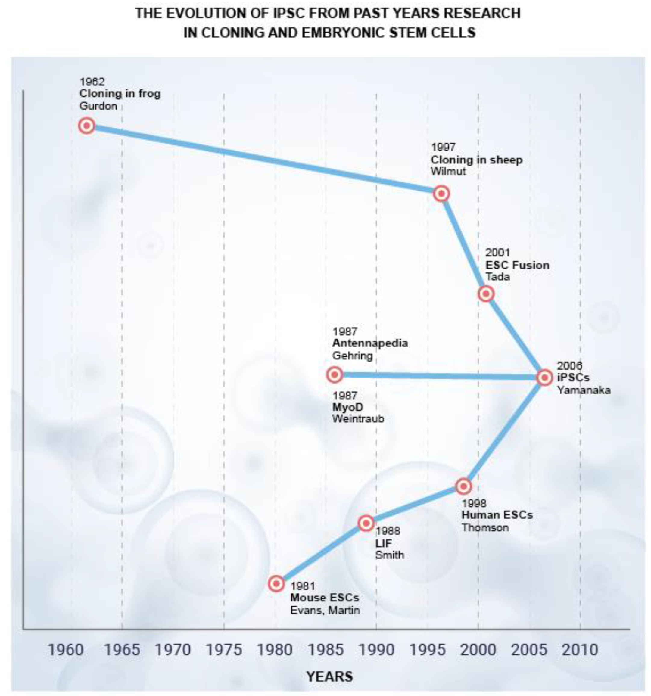 Animals 12 03187 g001 Animals 12 03187 g001