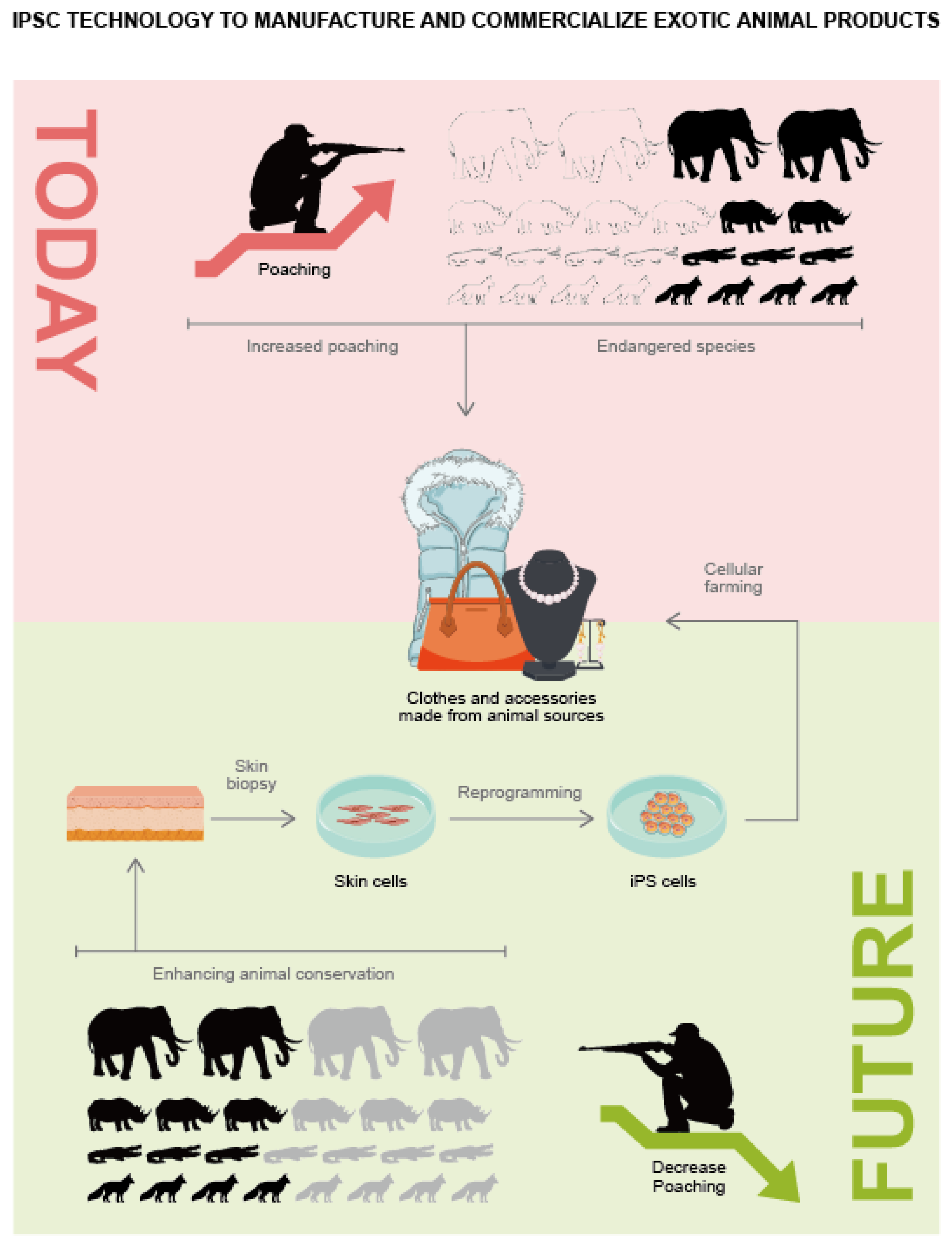 Animals 12 03187 g002 Animals 12 03187 g002