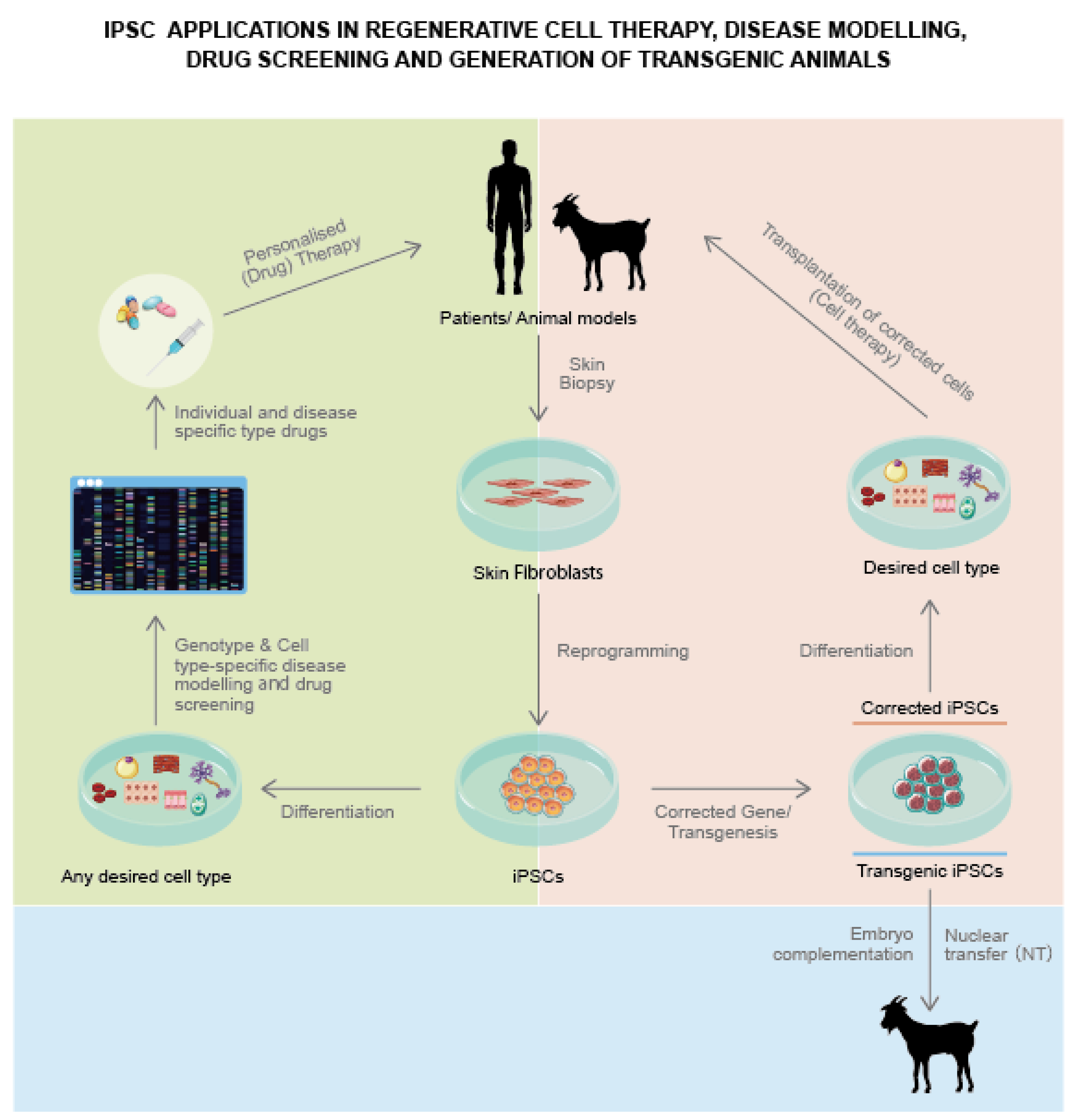 Animals 12 03187 g004 Animals 12 03187 g004