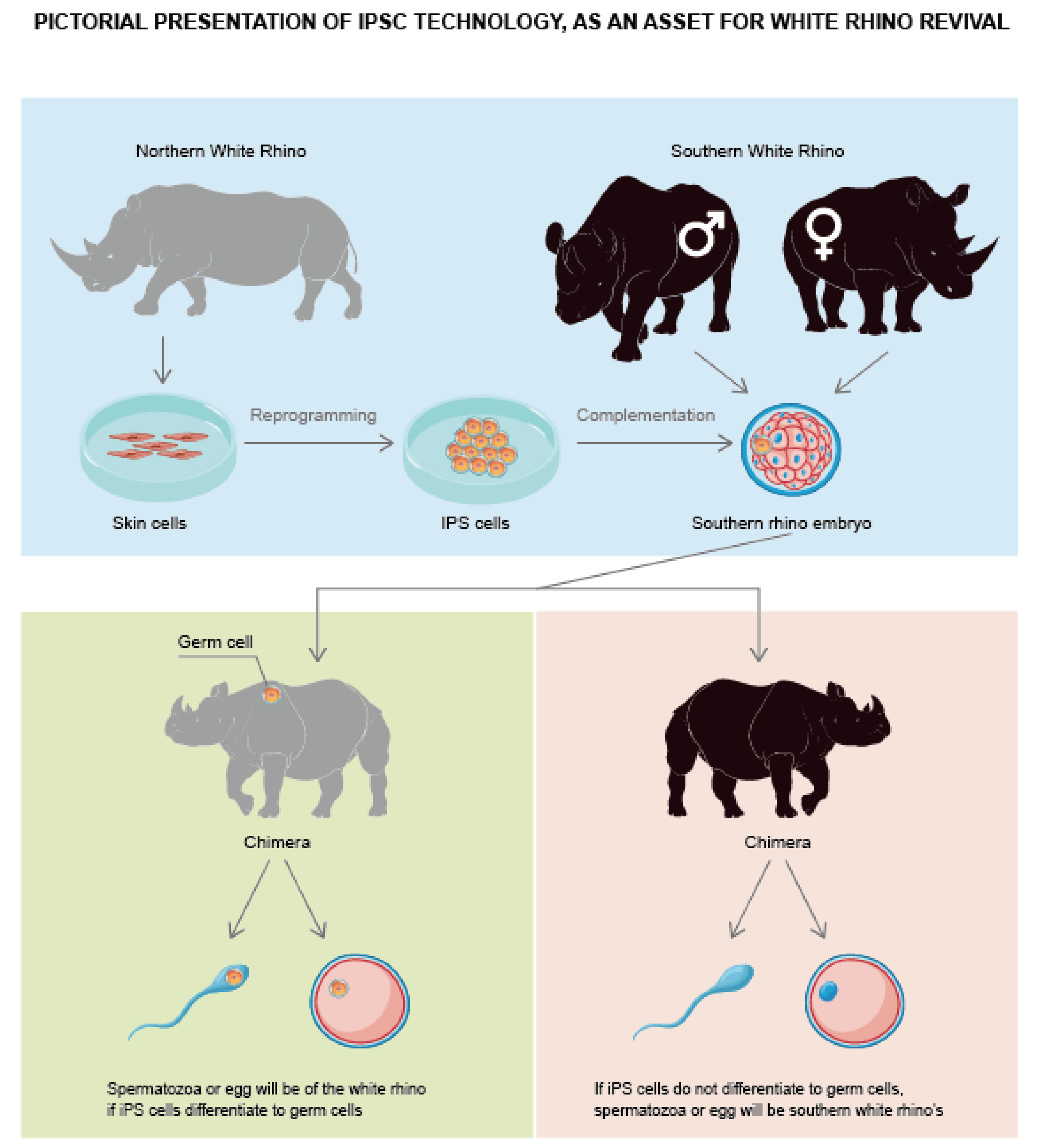 Animals 12 03187 g005 Animals 12 03187 g005