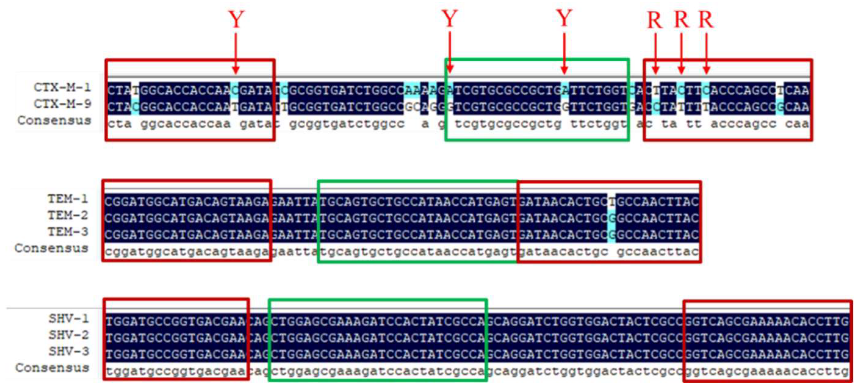 Animals 12 03191 g003